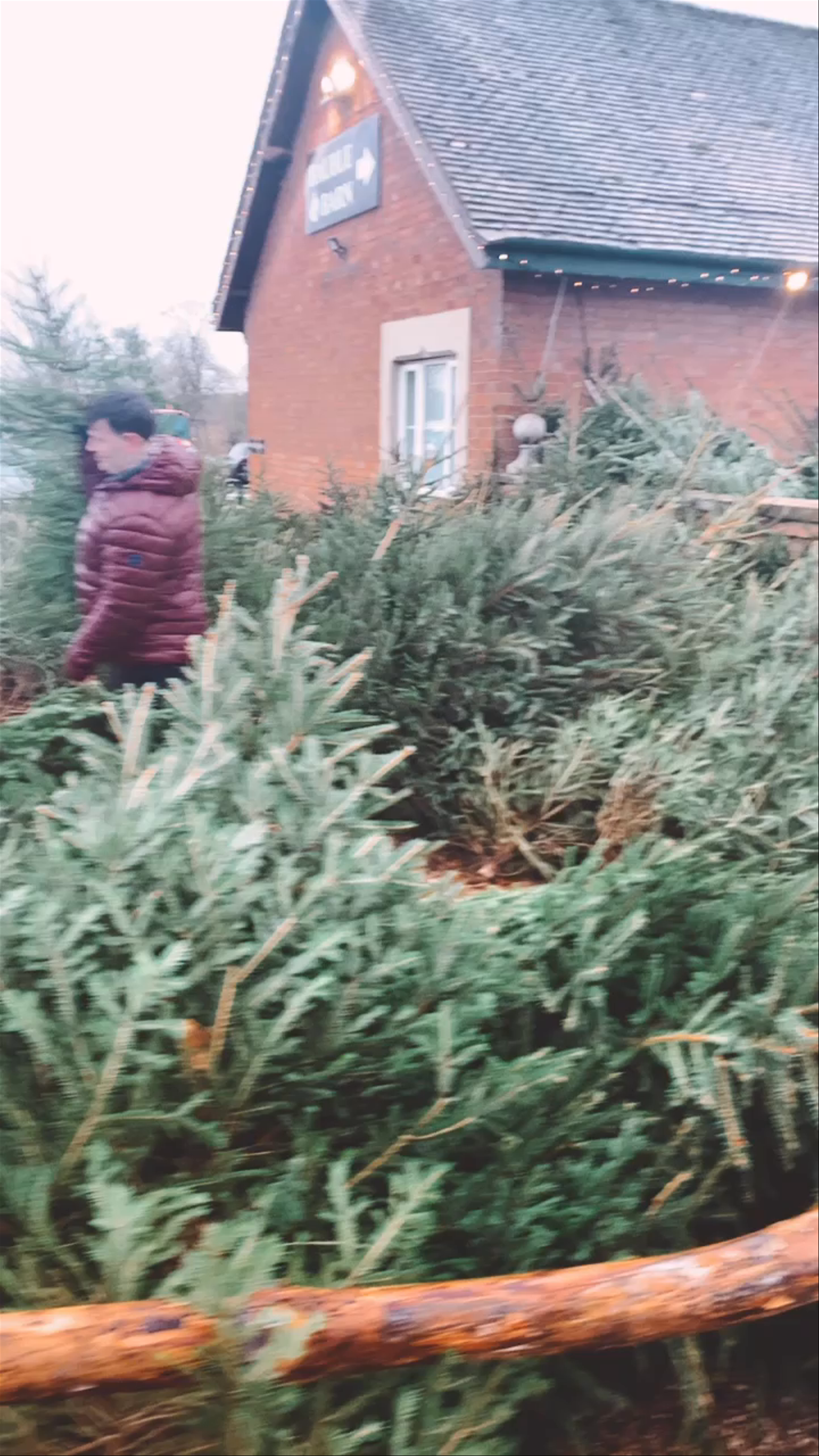 Doddington Hall & Gardens