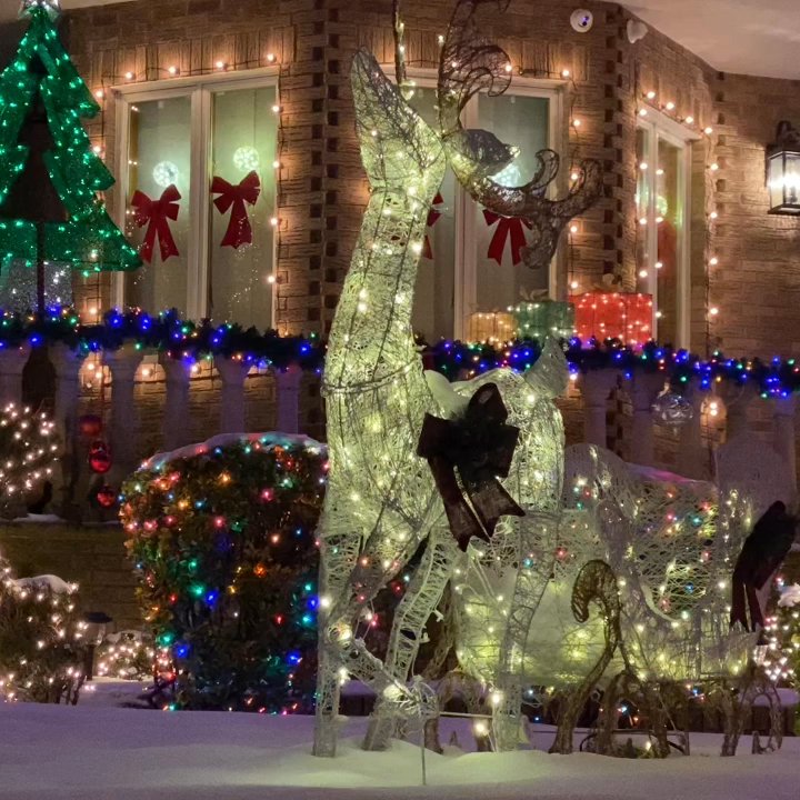 Dyker Heights - Middle Schools & High Schools Near Me - Brooklyn, New York