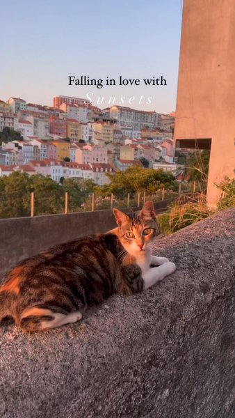 Photo of Sunset in A Little L