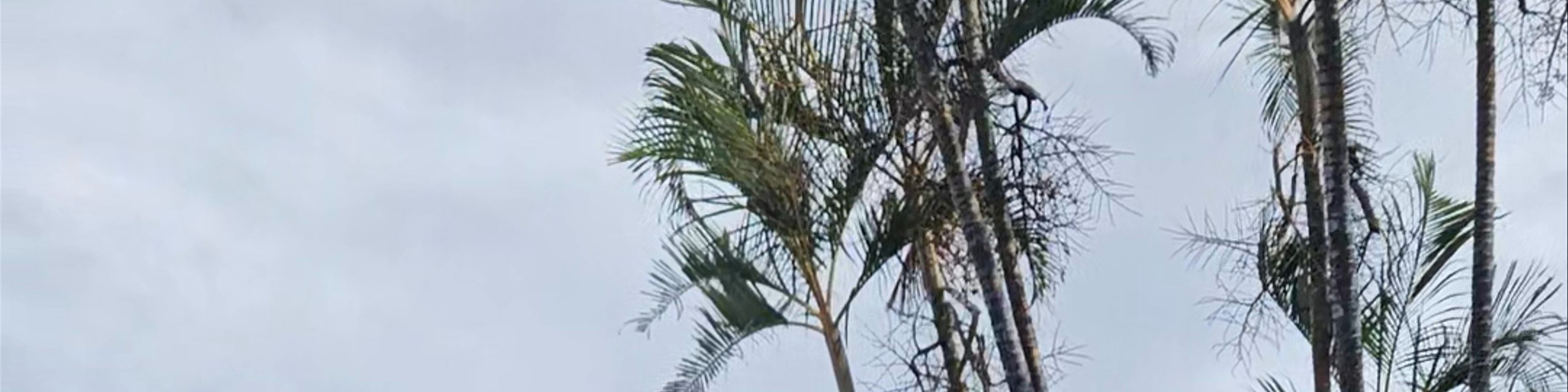 Réunion