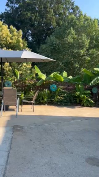 Listing photo-2