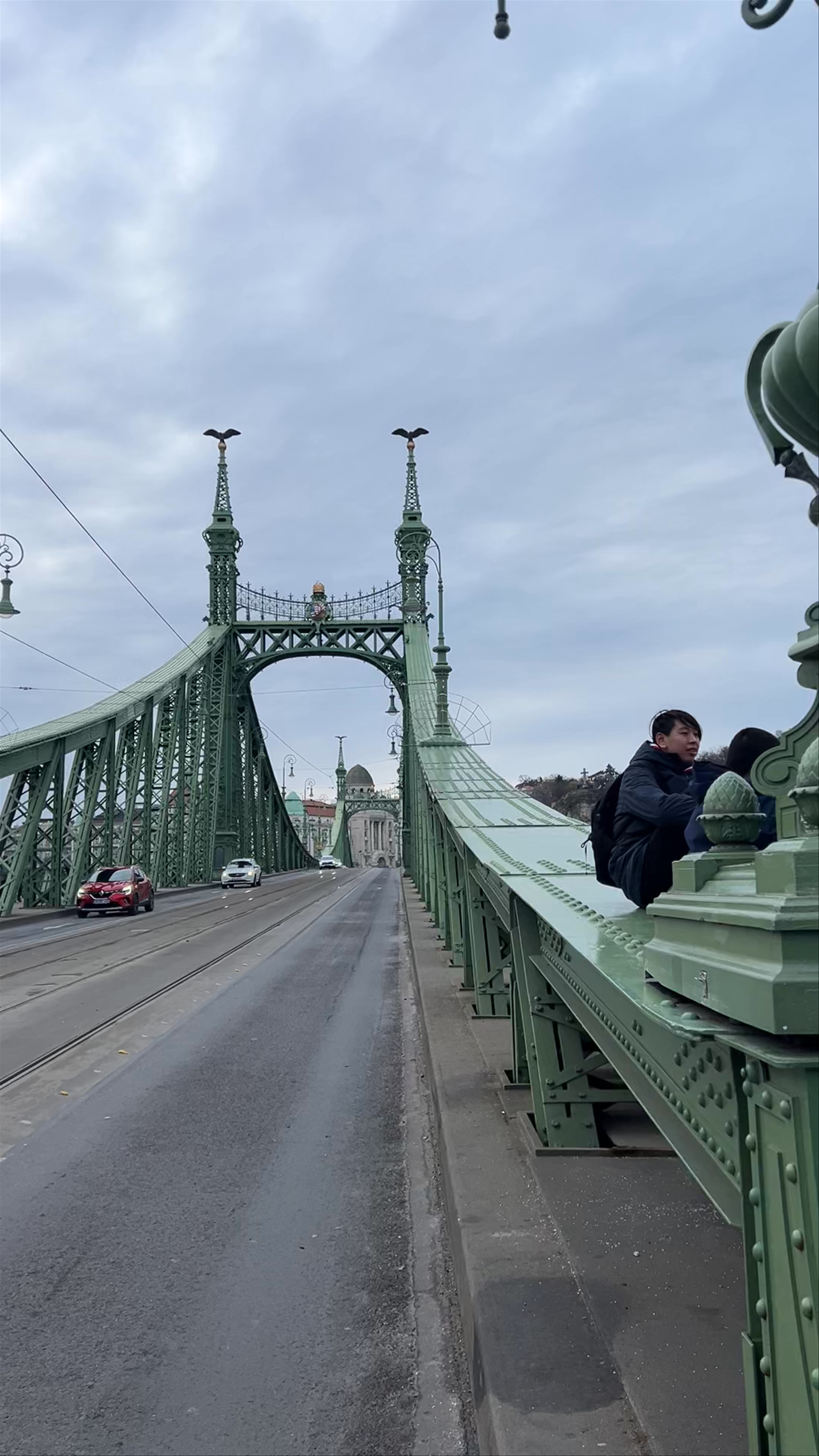 Budapest’s Iconic Liberty Bridge and Historic Cityscape Walk