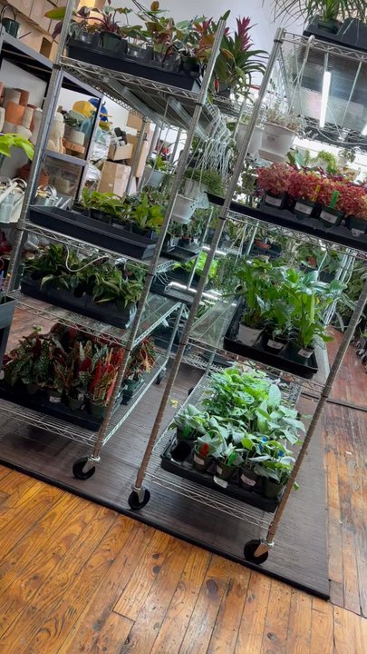 Ed’s Plant Shop - Short video - Nurseries & Gardening Near Me - Brooklyn, New York