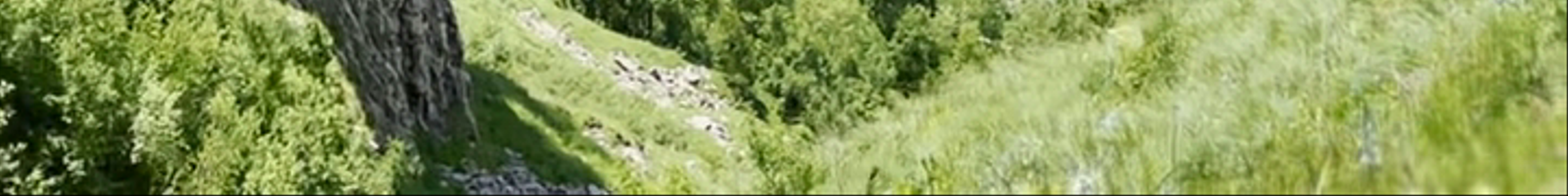 Tours & experiences in Gudauri