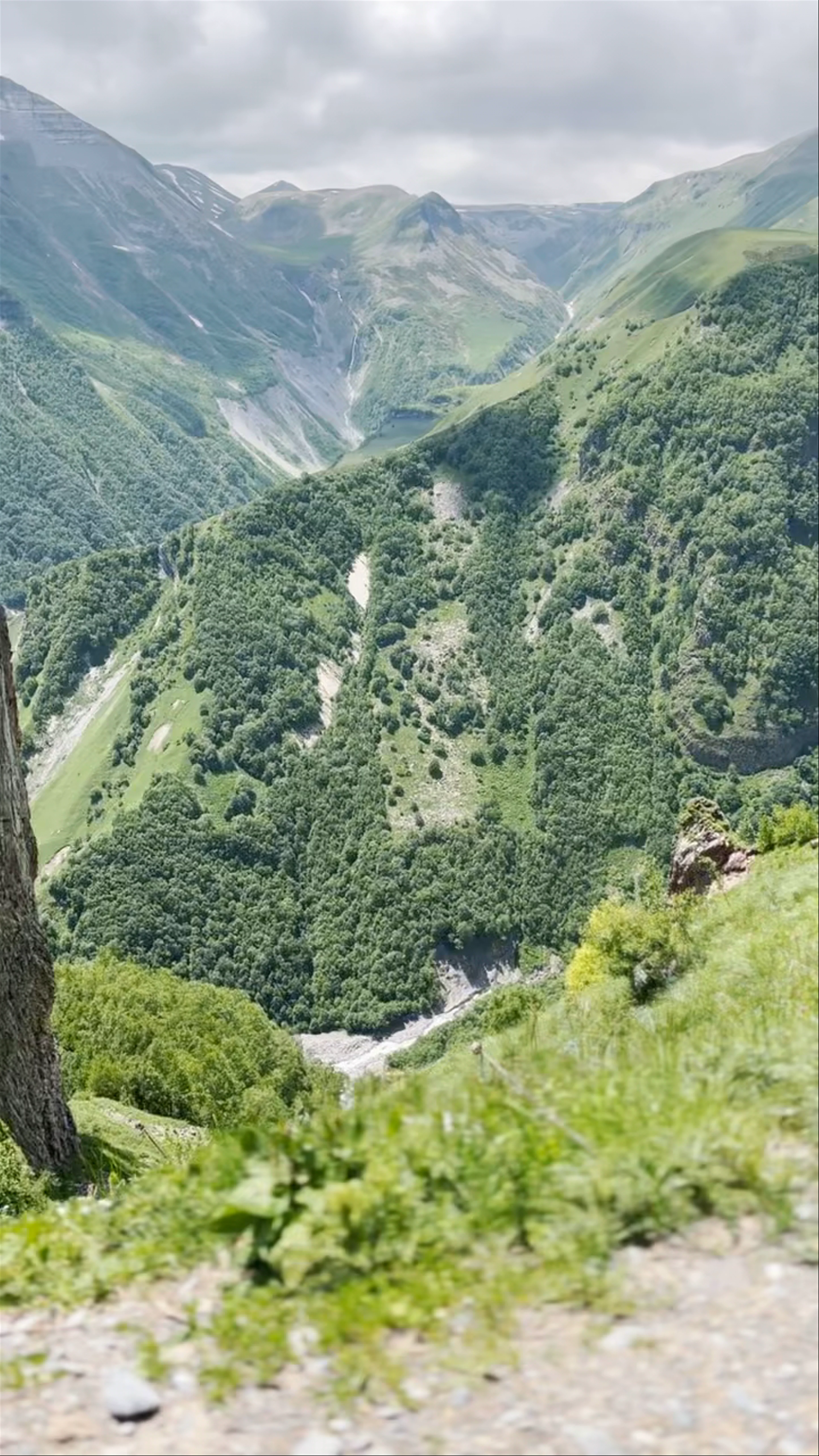 Panorama Gudauri