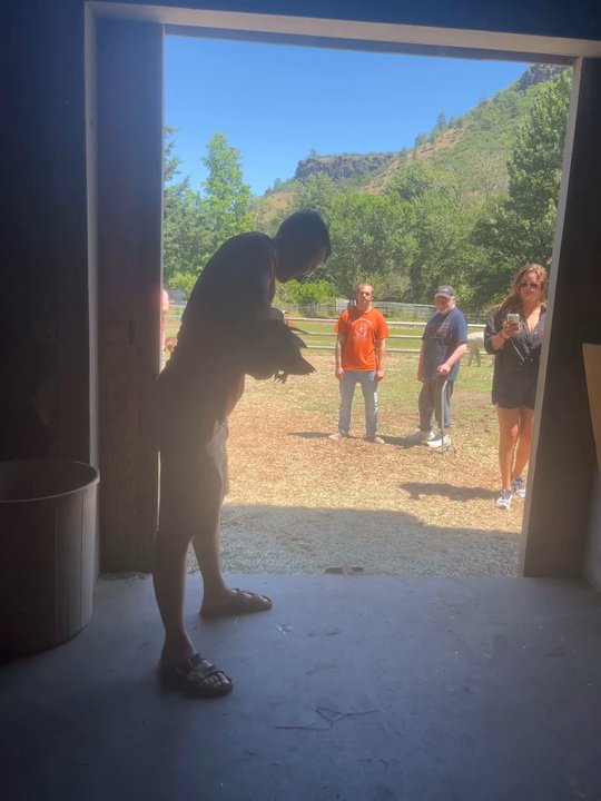 Handsfull Farm - Venues & Event Spaces Near Me - The Dalles, Oregon