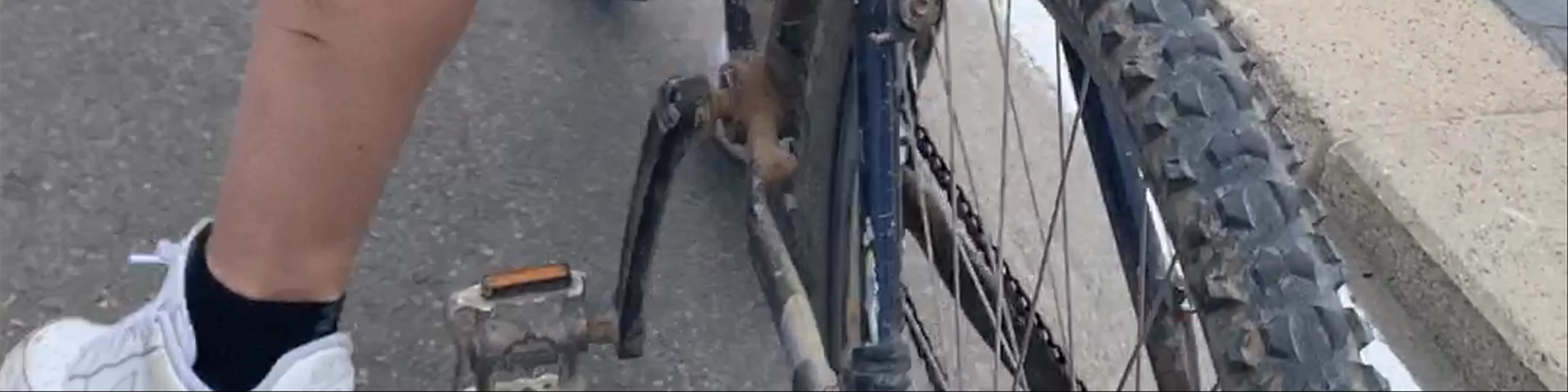 Bike Riding on Tel Aviv Beach