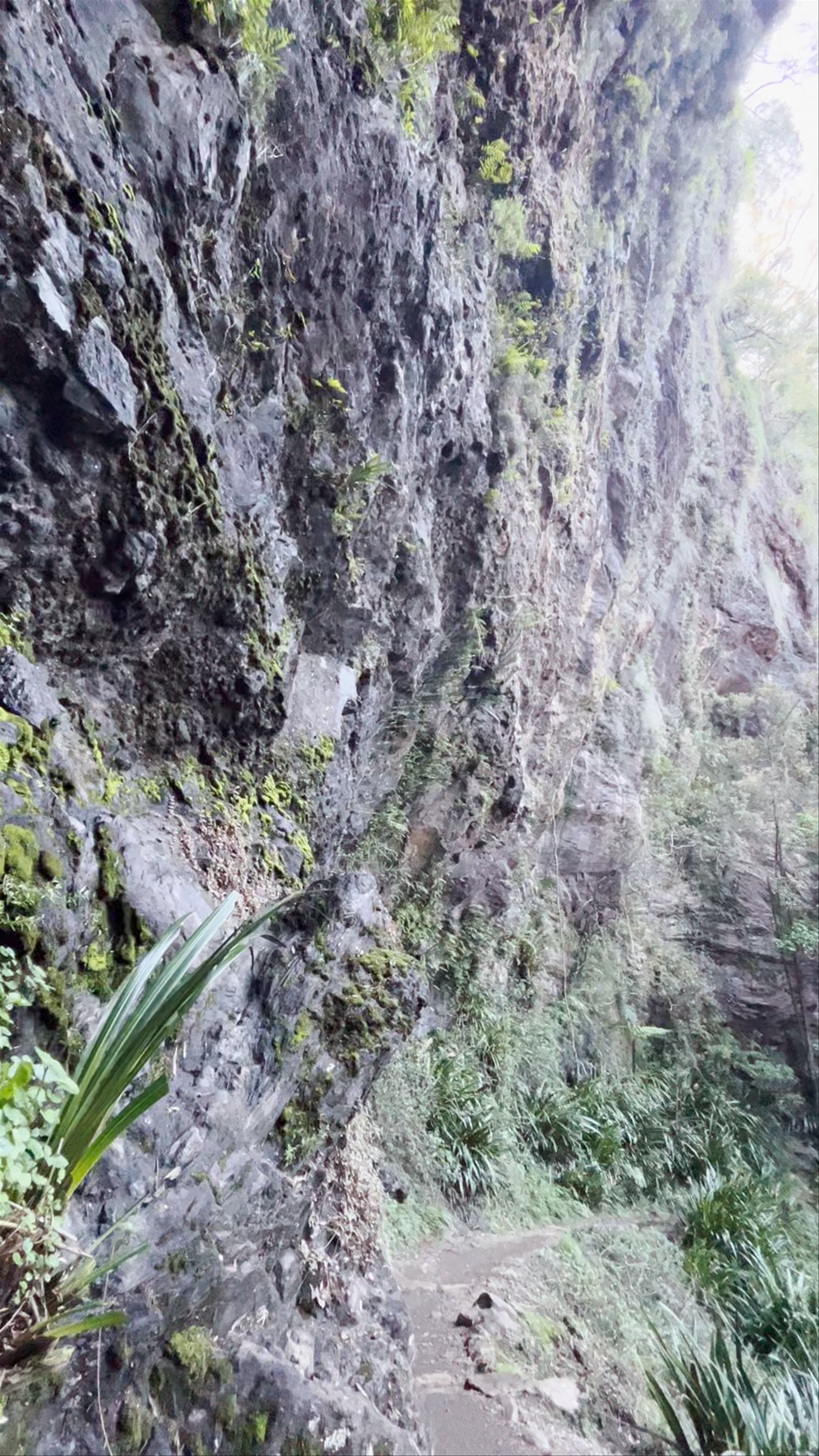 Twin Falls