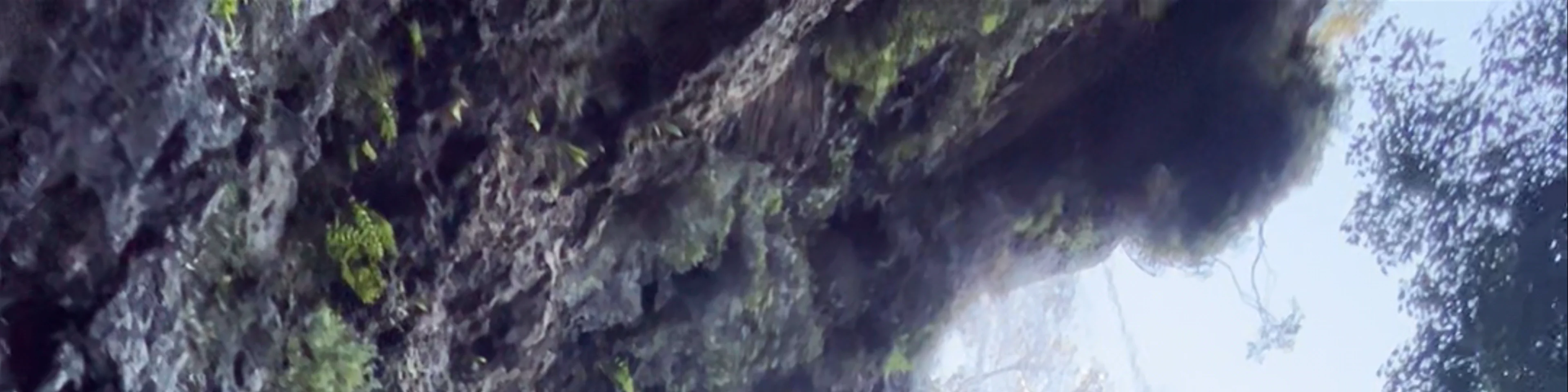 Twin Falls