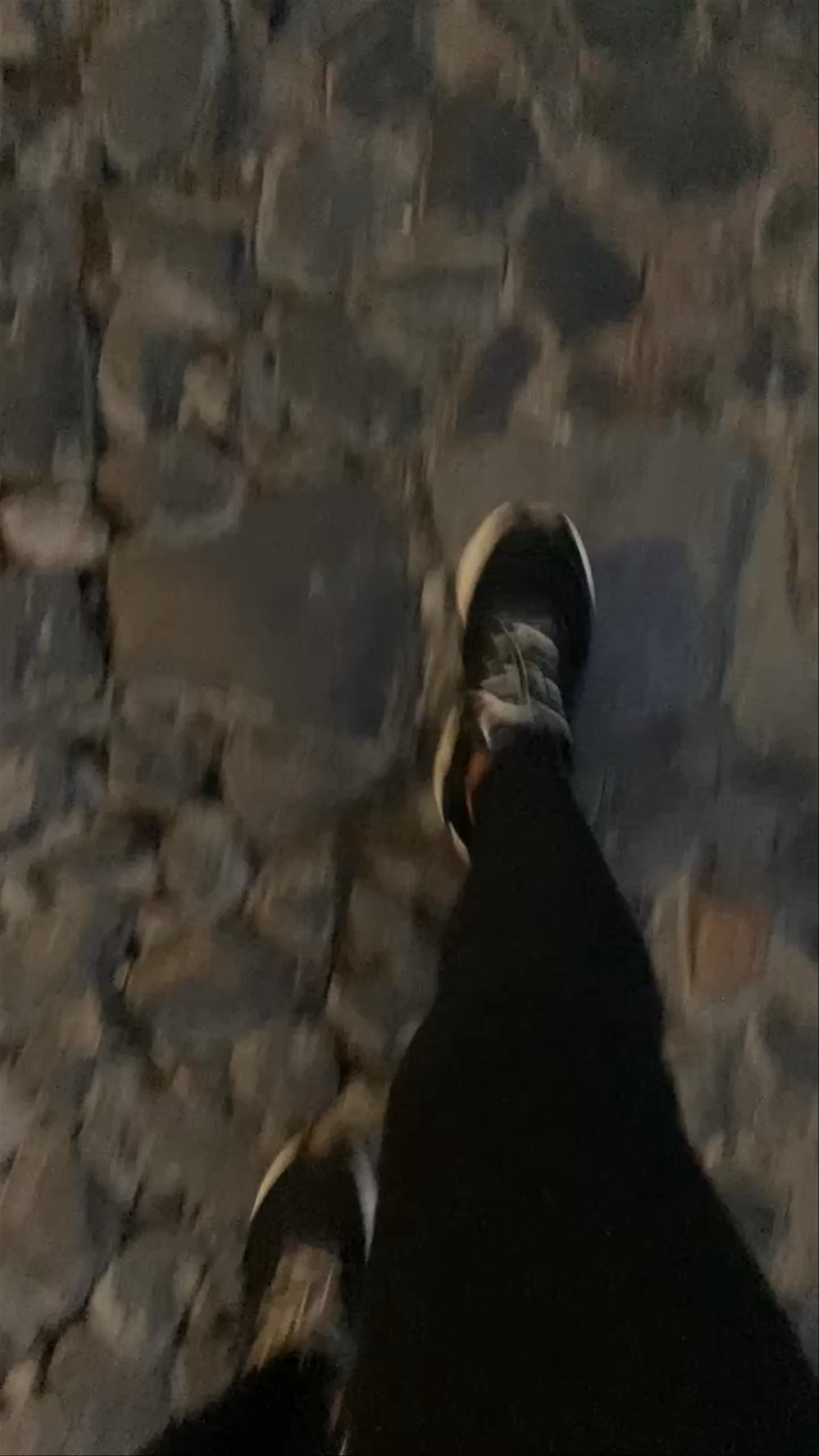 Evening Walk at Arco de Santa Catalina, Antigua Guatemala