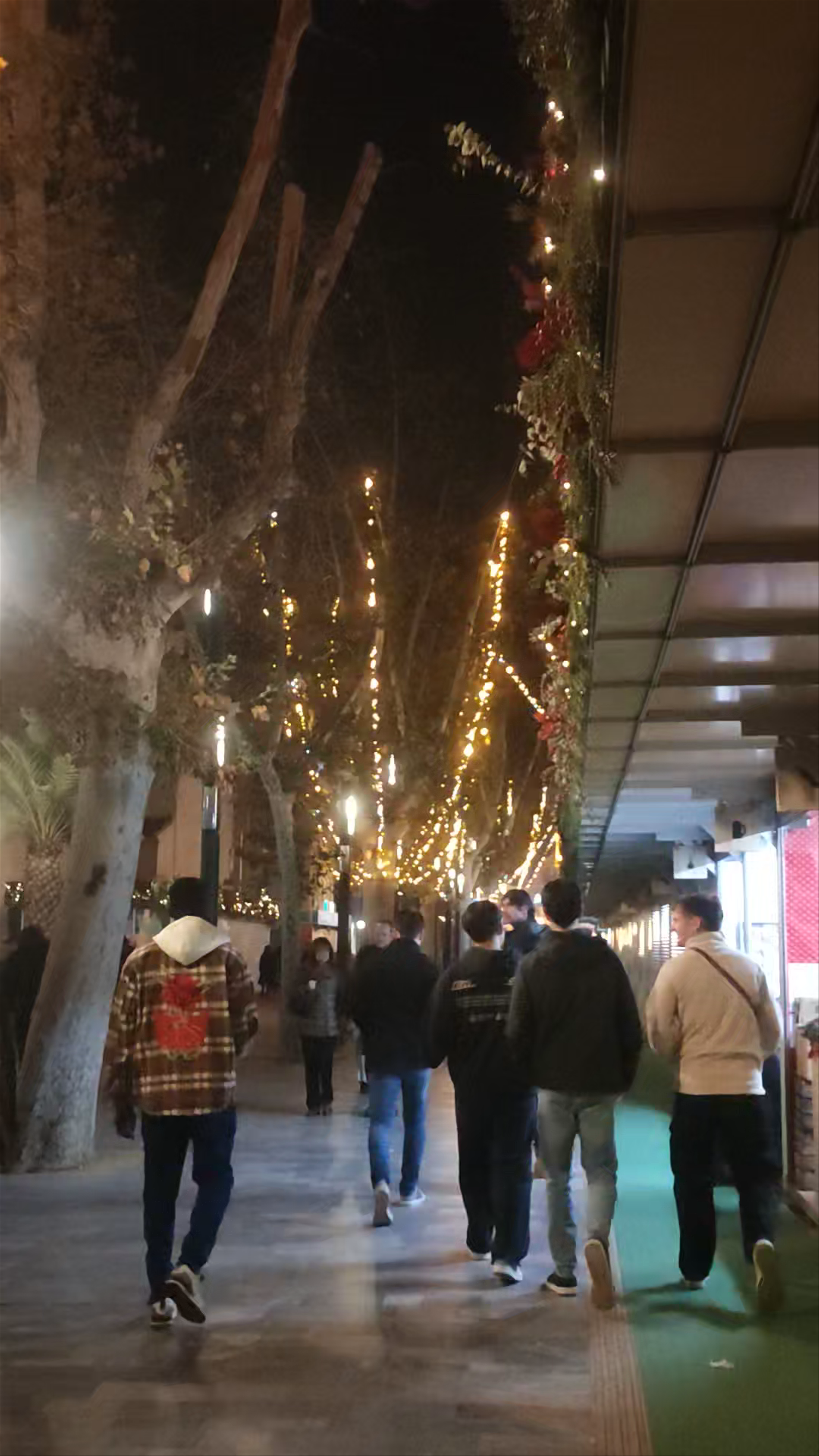 Muestra de Artesanía Navidad in Murcia: A Magical Christmas Walk Along Gran Vía Alfonso X el Sabio