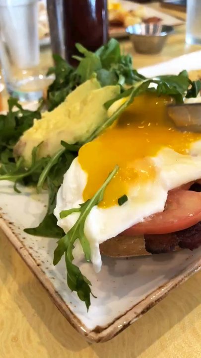 First Watch - blt benedict - Breakfast & Brunch Near Me - Wellington, Florida