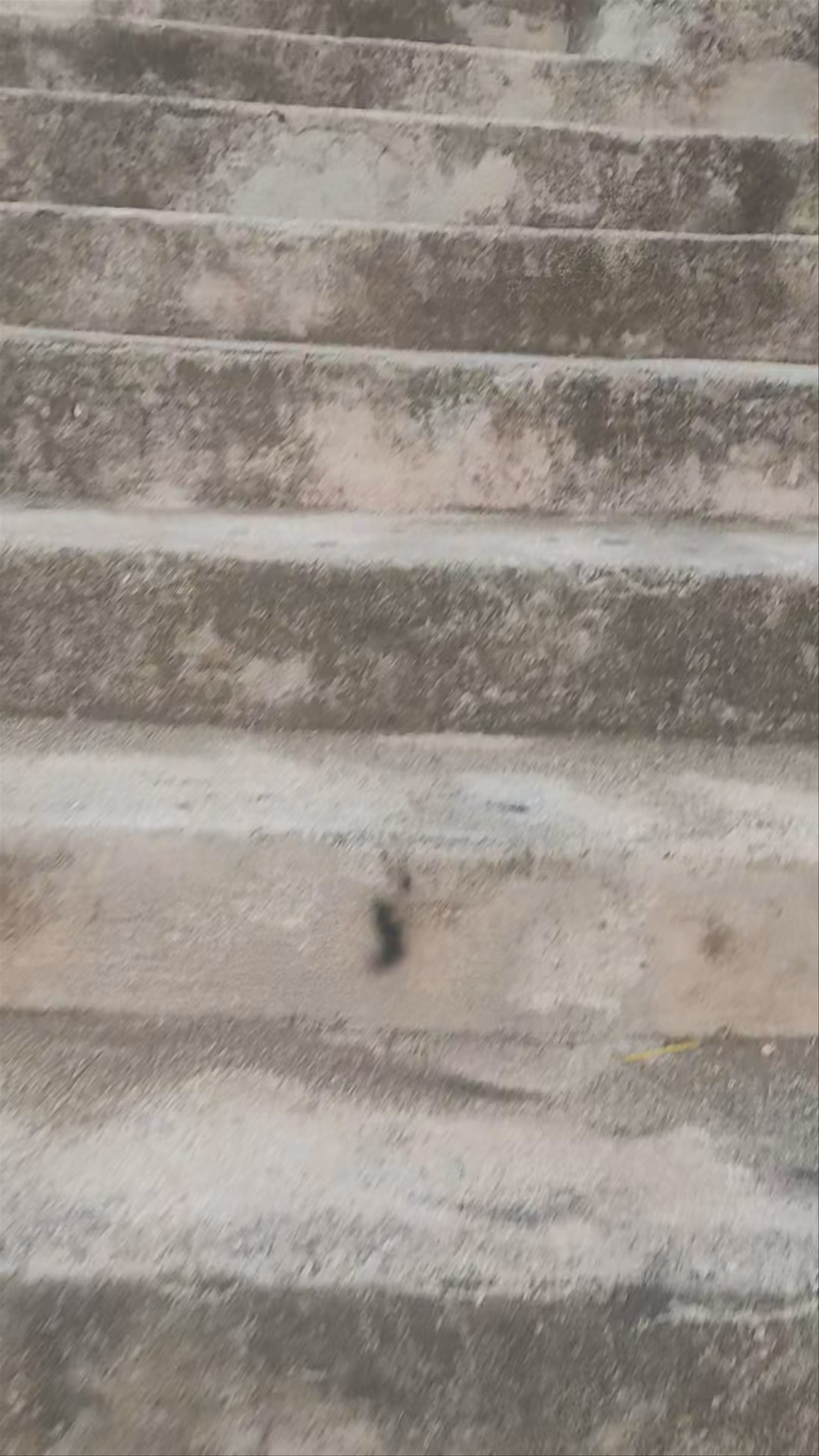 Parroquia de San Sebastián