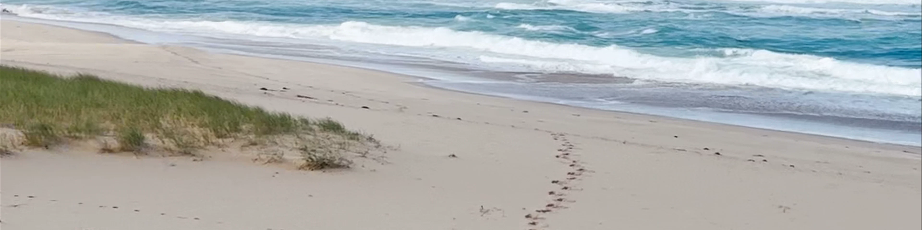 Johanna Beach