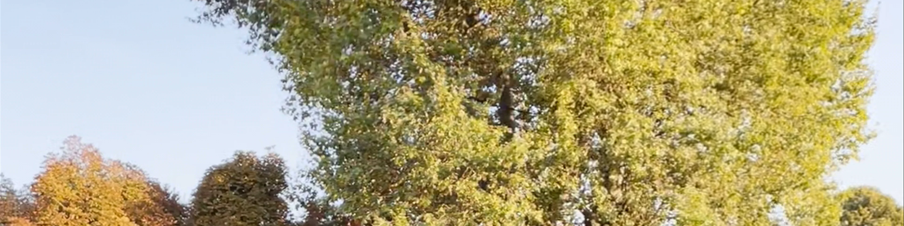 Volksgarten