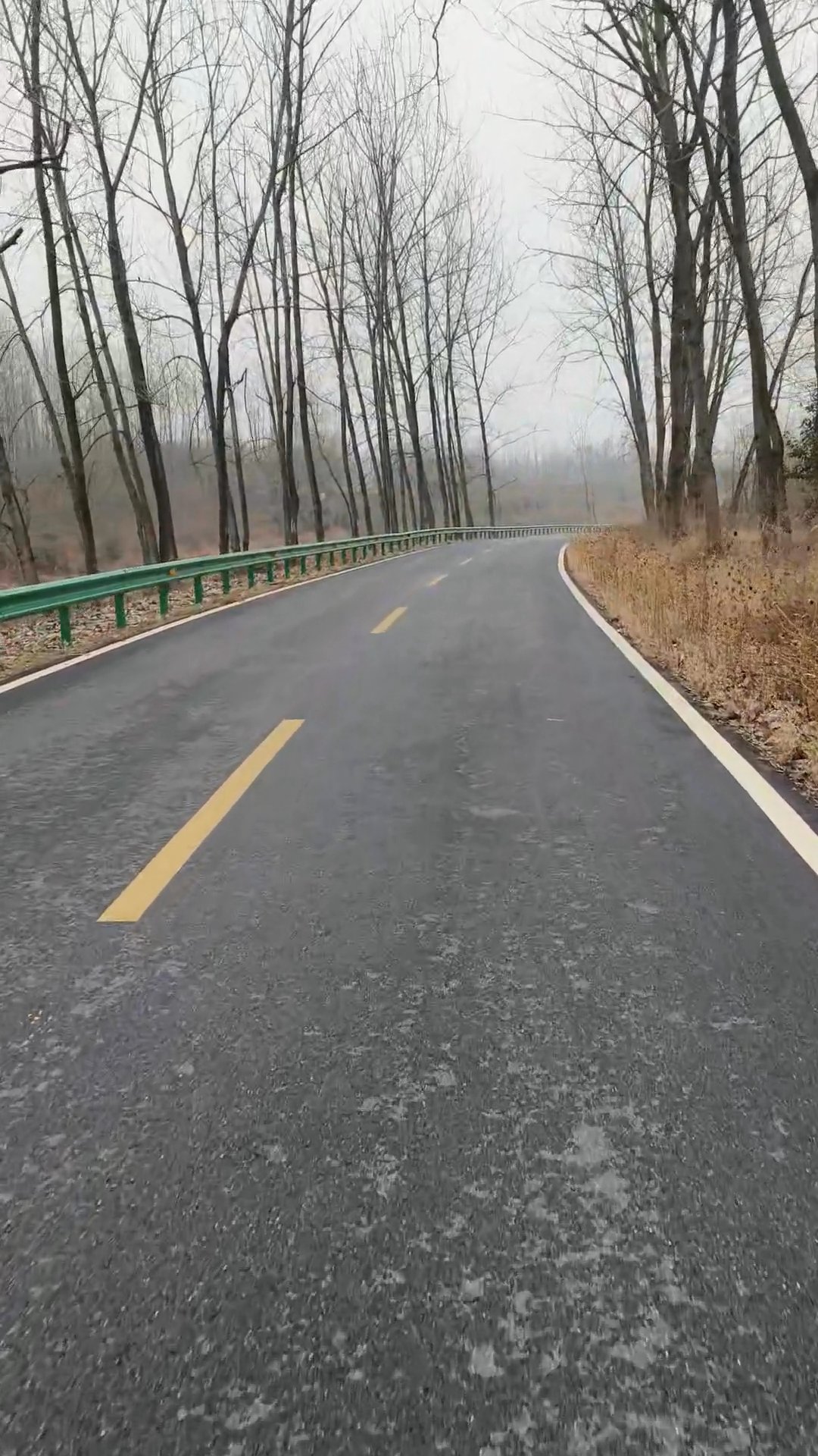 virtual bike ride strava