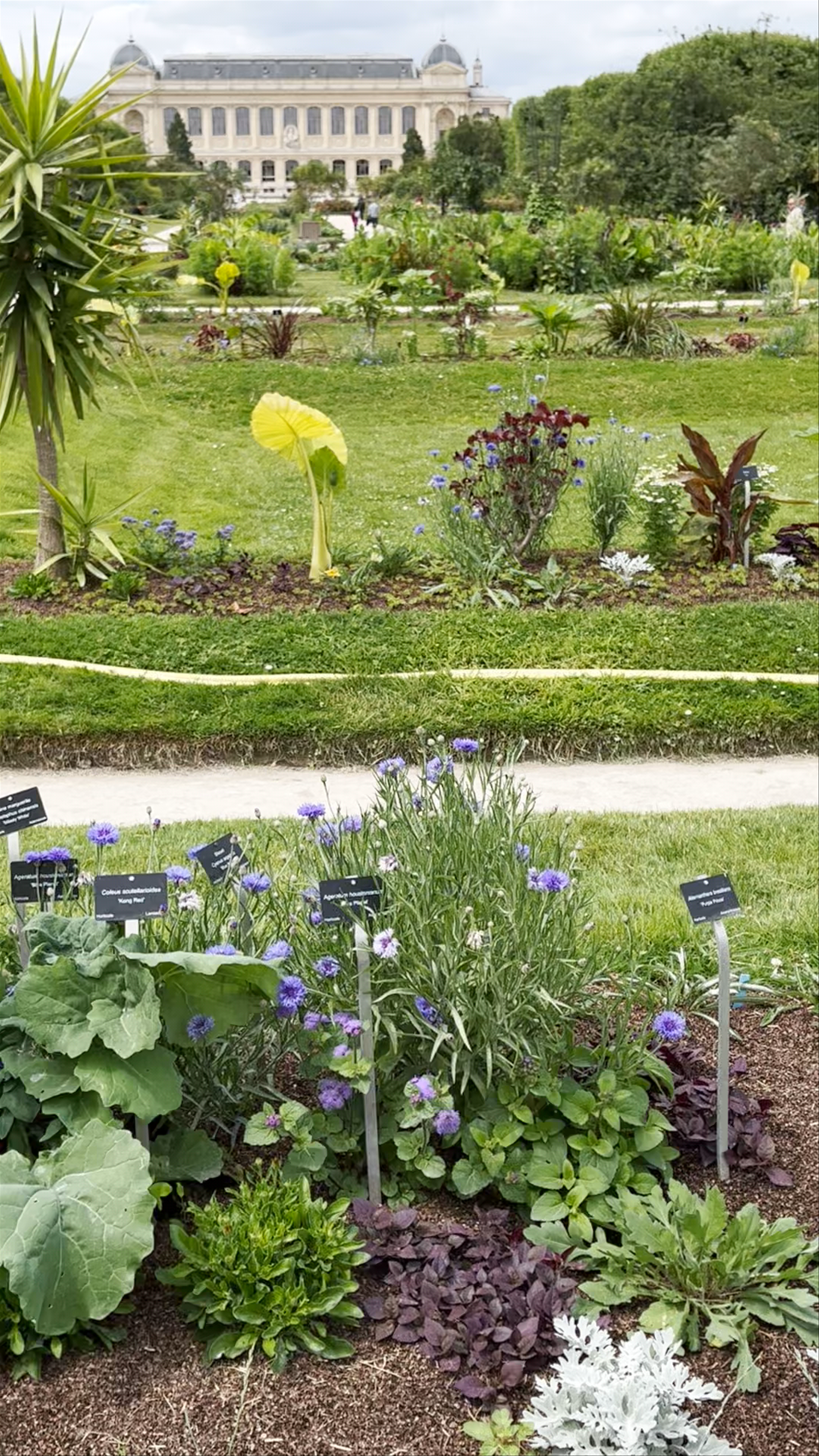 Serene Botanical Bliss at the Ecological Garden in Paris