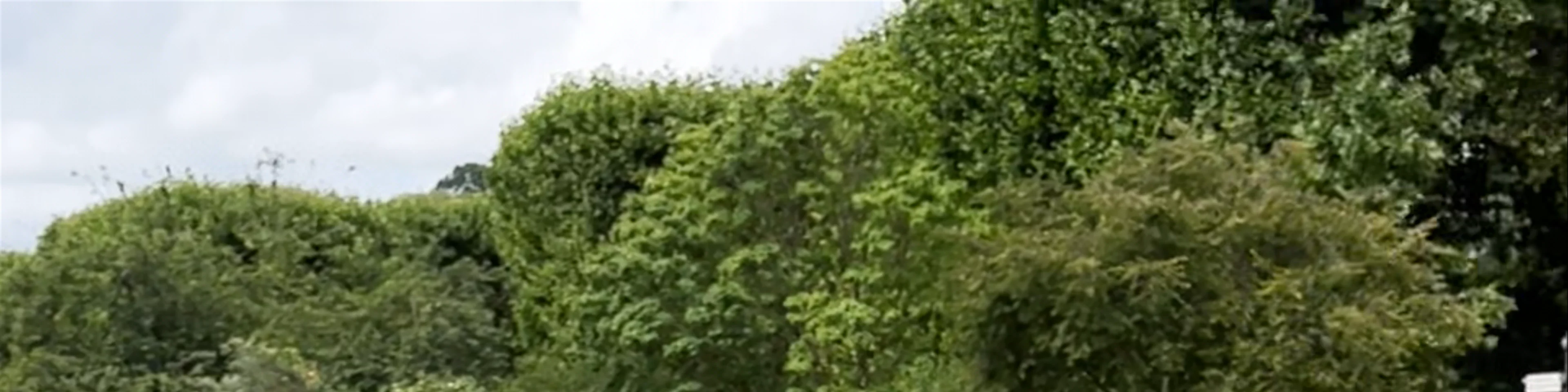 Ecological Garden