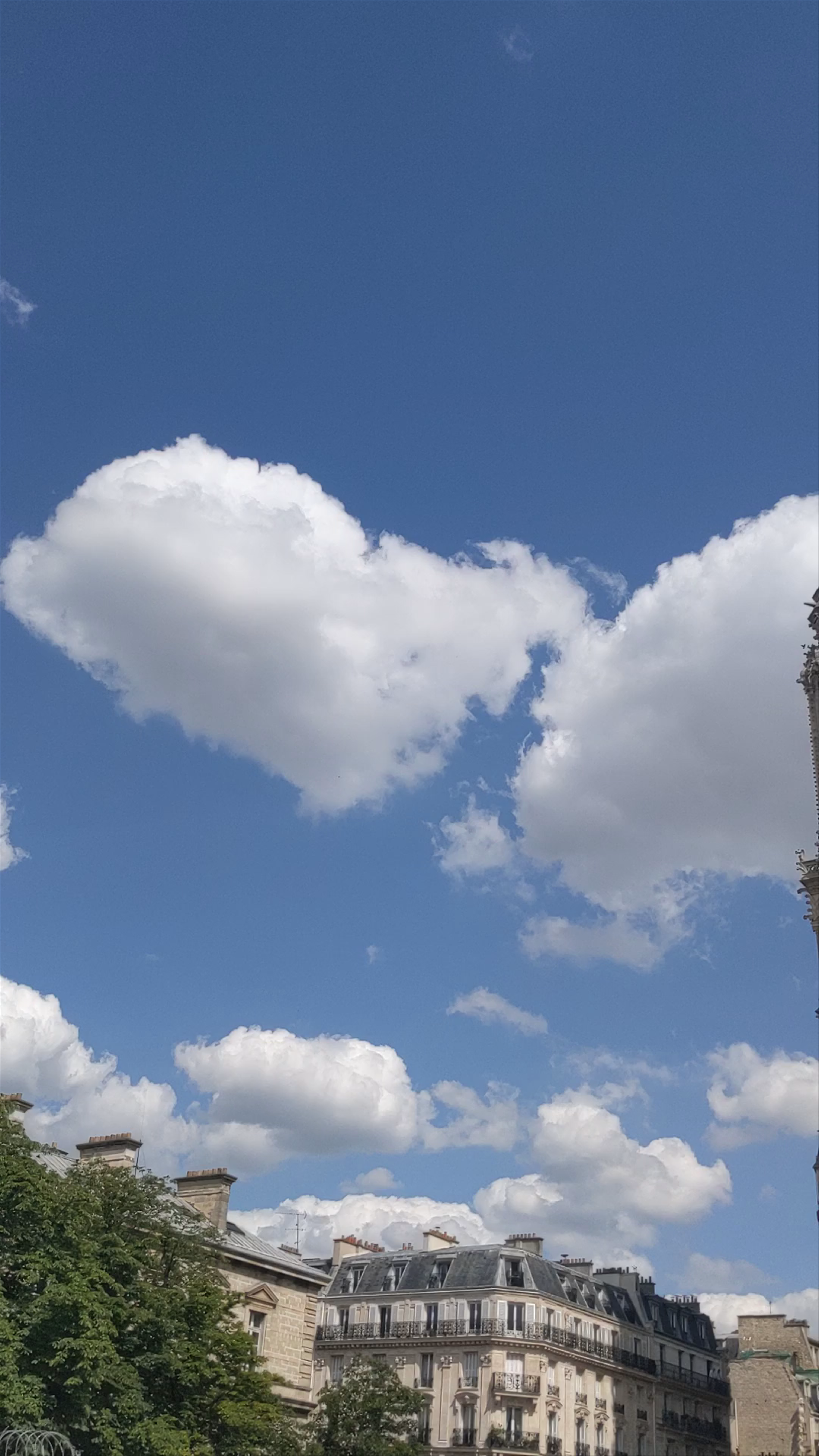 Notre-Dame de Paris: Majestic Beauty & Historic Vibes