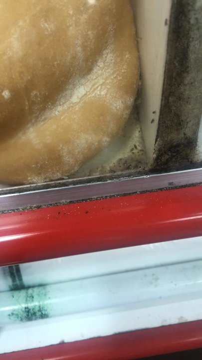 El Super - The mosquitoes inside with the bolillos., Gross!!! - Grocery Near Me - Los Angeles, California