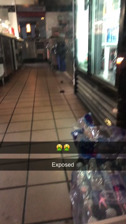Gyro Bar! - Disgusting! - Greek Near Me - Toronto, Ontario