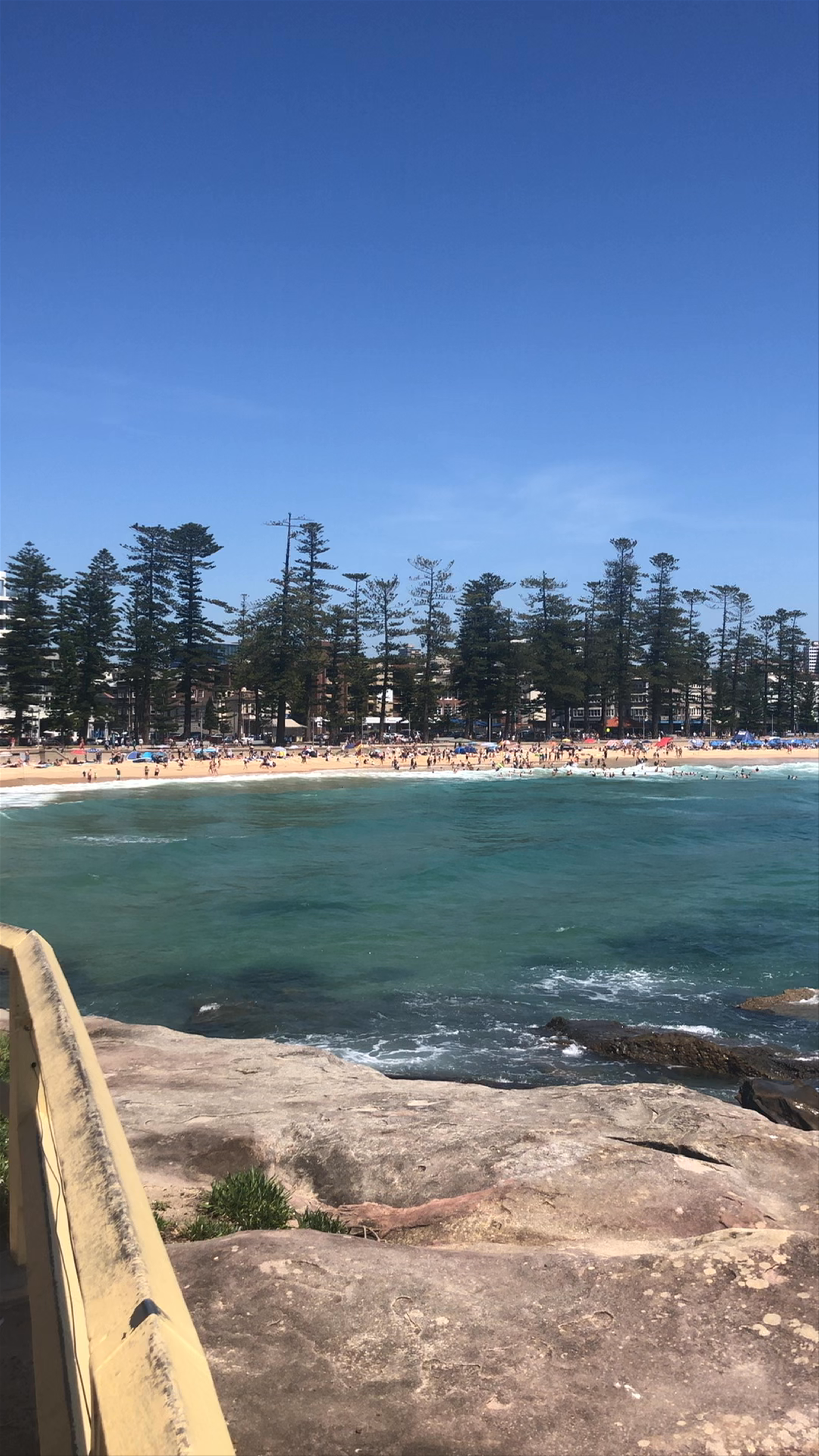 Shelly Beach