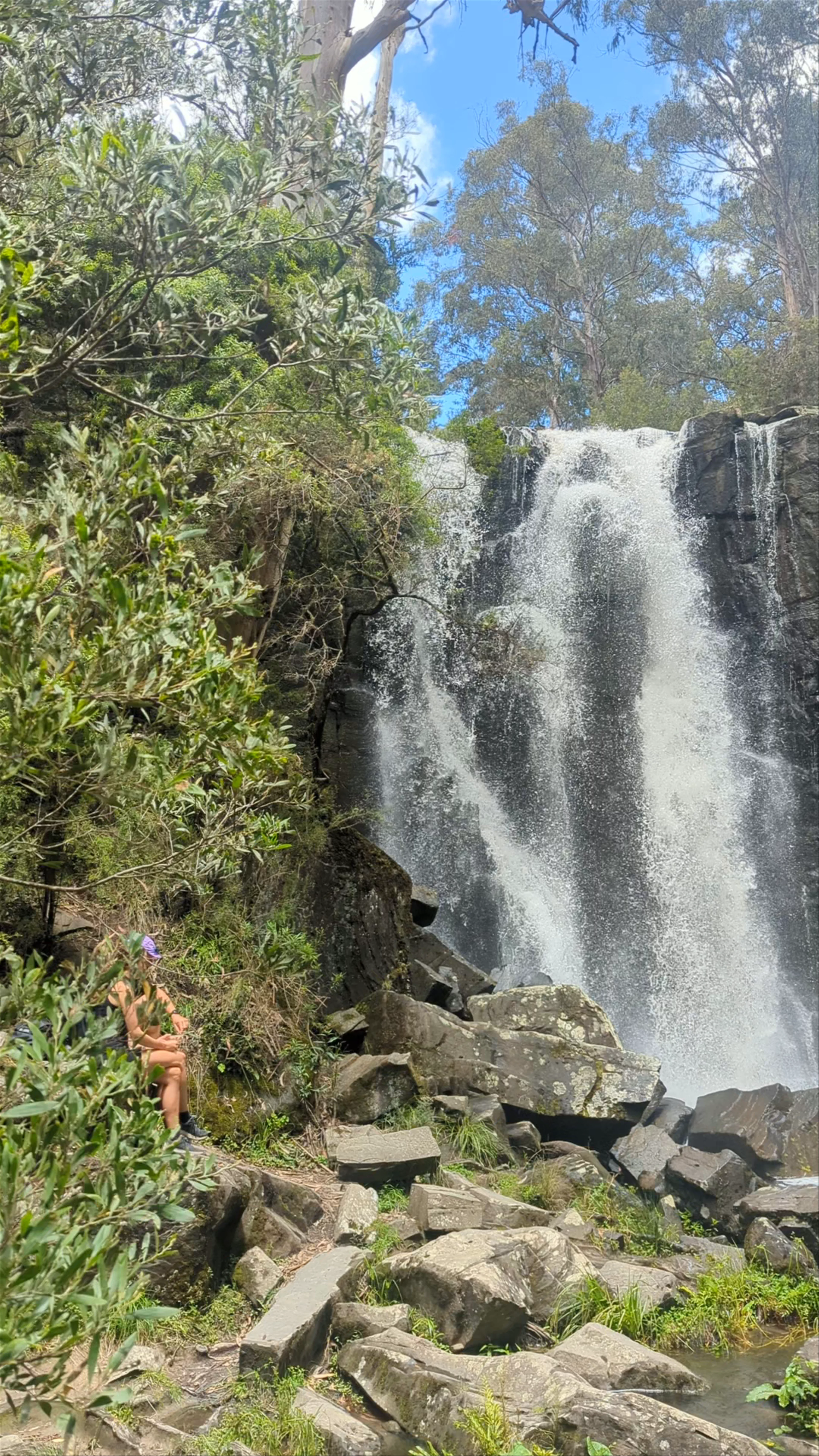 Phantom Falls, Allenvale Road, Henderson Track