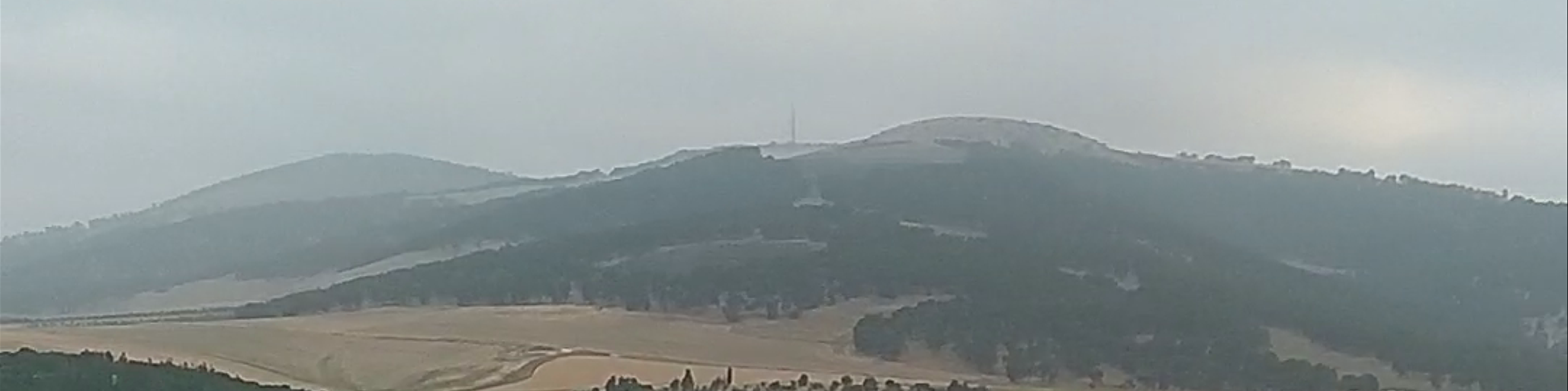 Afula