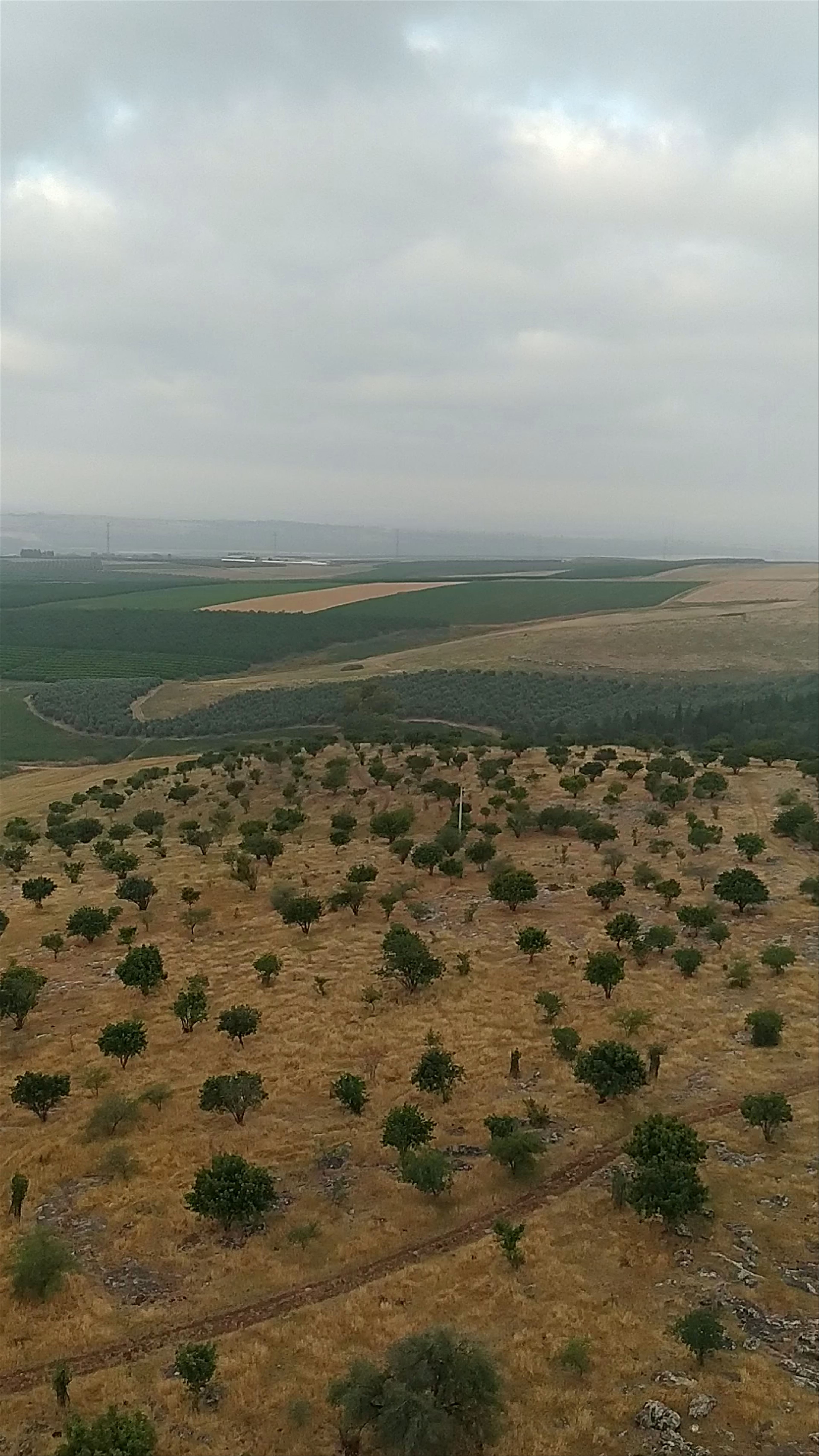 Hot air balloon experience in northern Israel