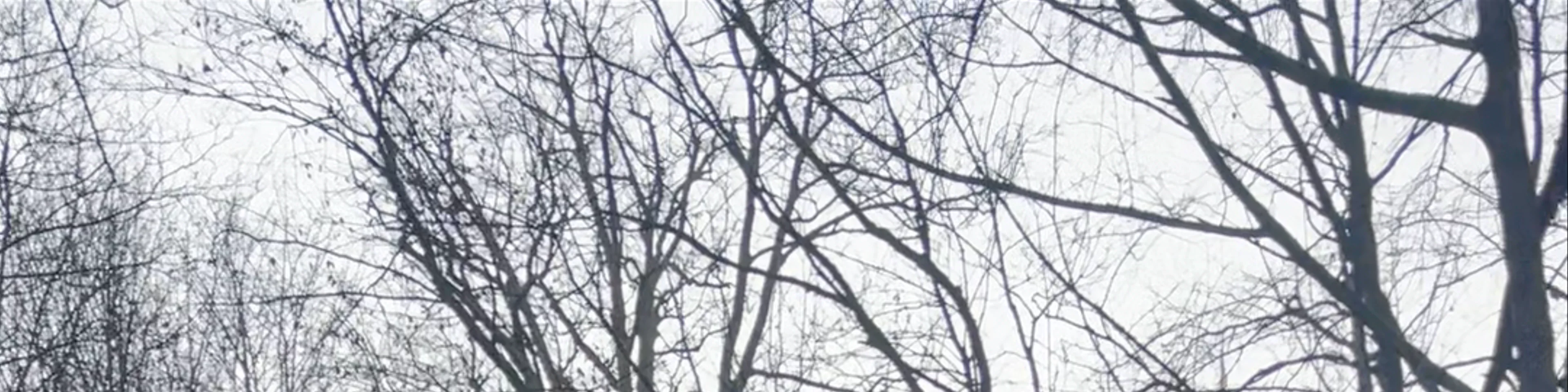 Ossegempark
