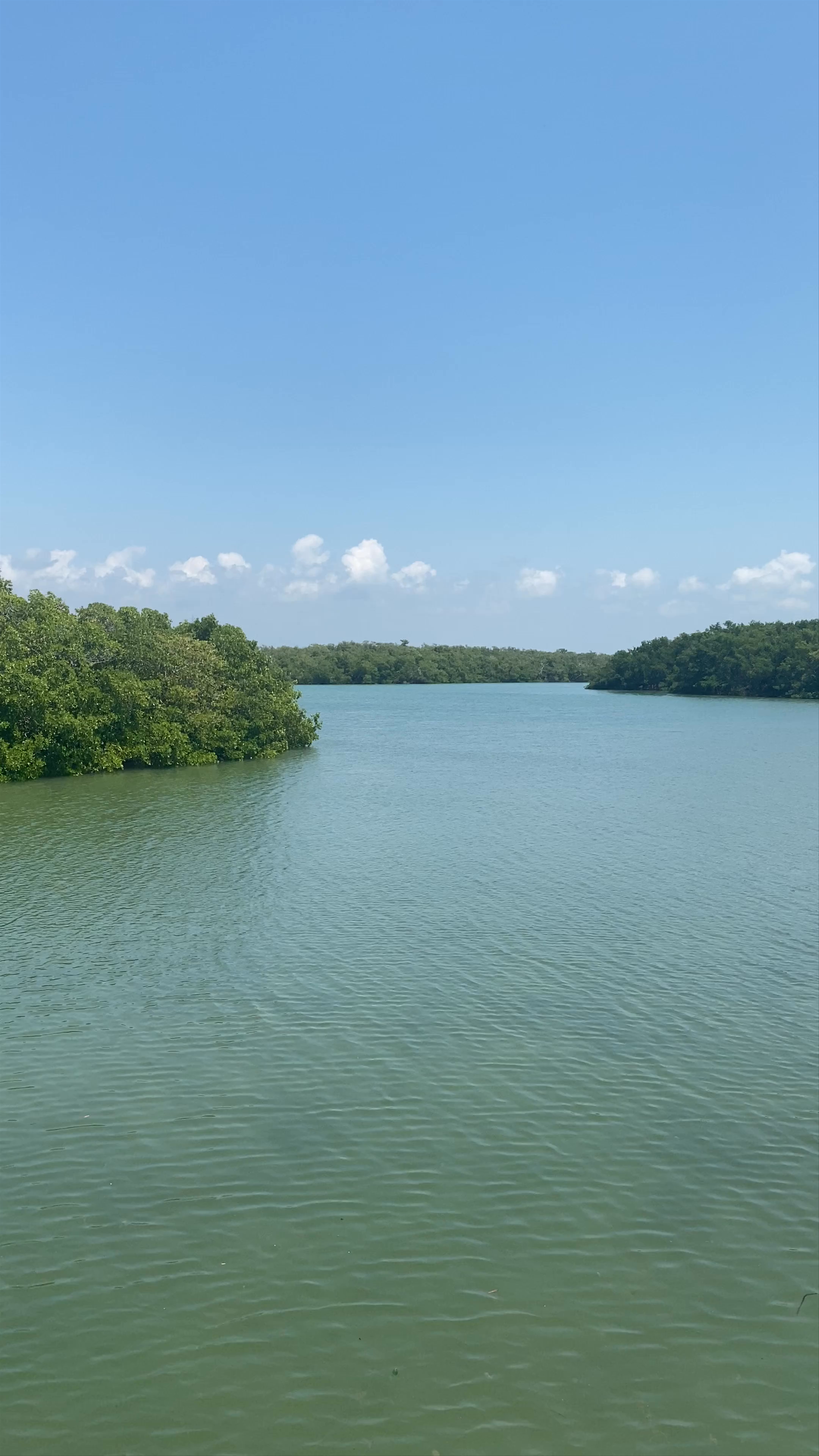 Tranquil Water Views at Lovers Key State Park, Fort Myers Beach