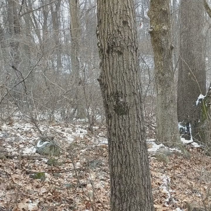 Video thumbnail 3 more videos