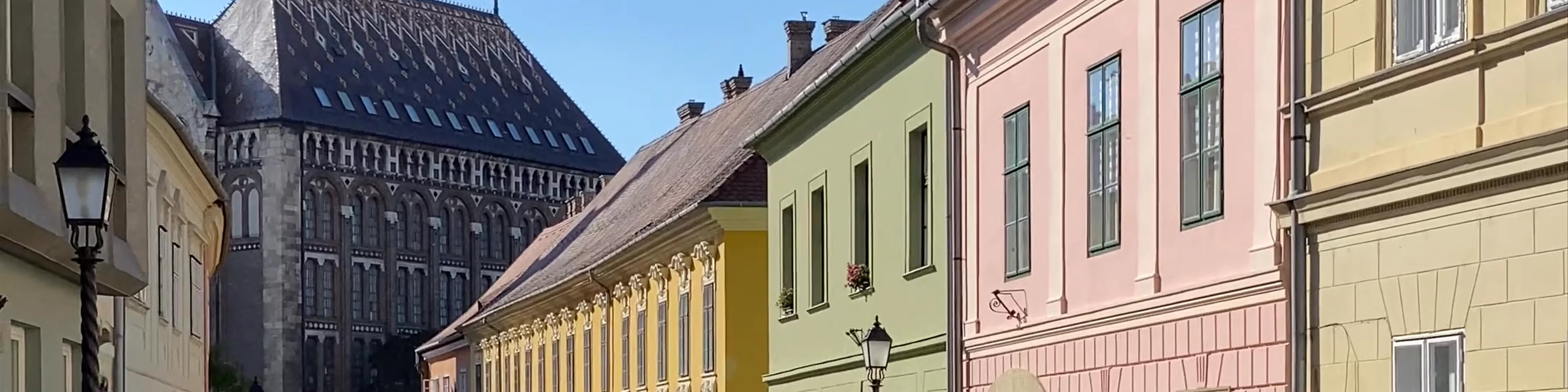 Castle District