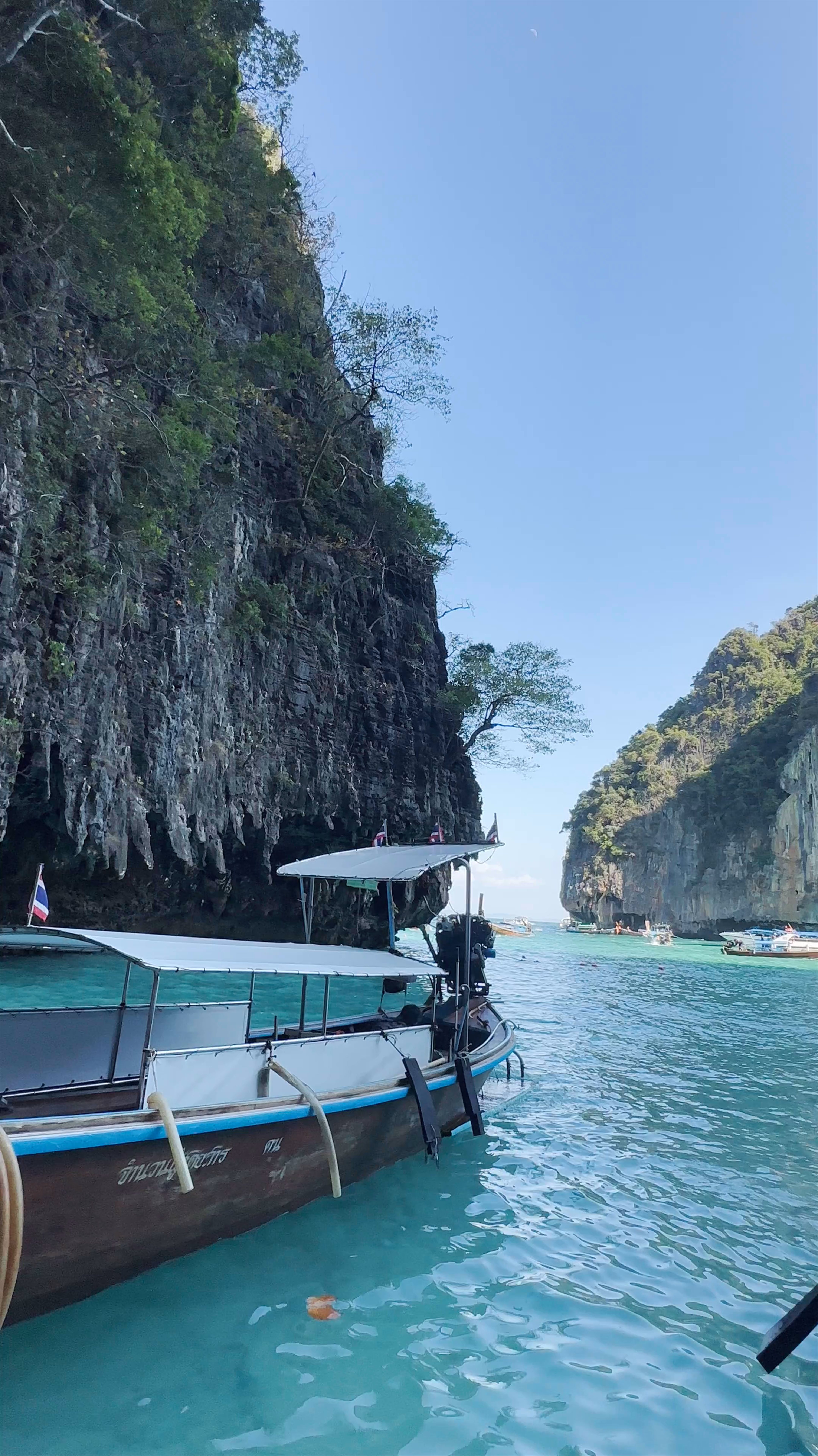 Monkey Beach