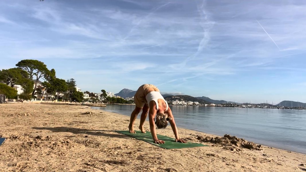 November 1st 
- Vinyasa Flow 45min.