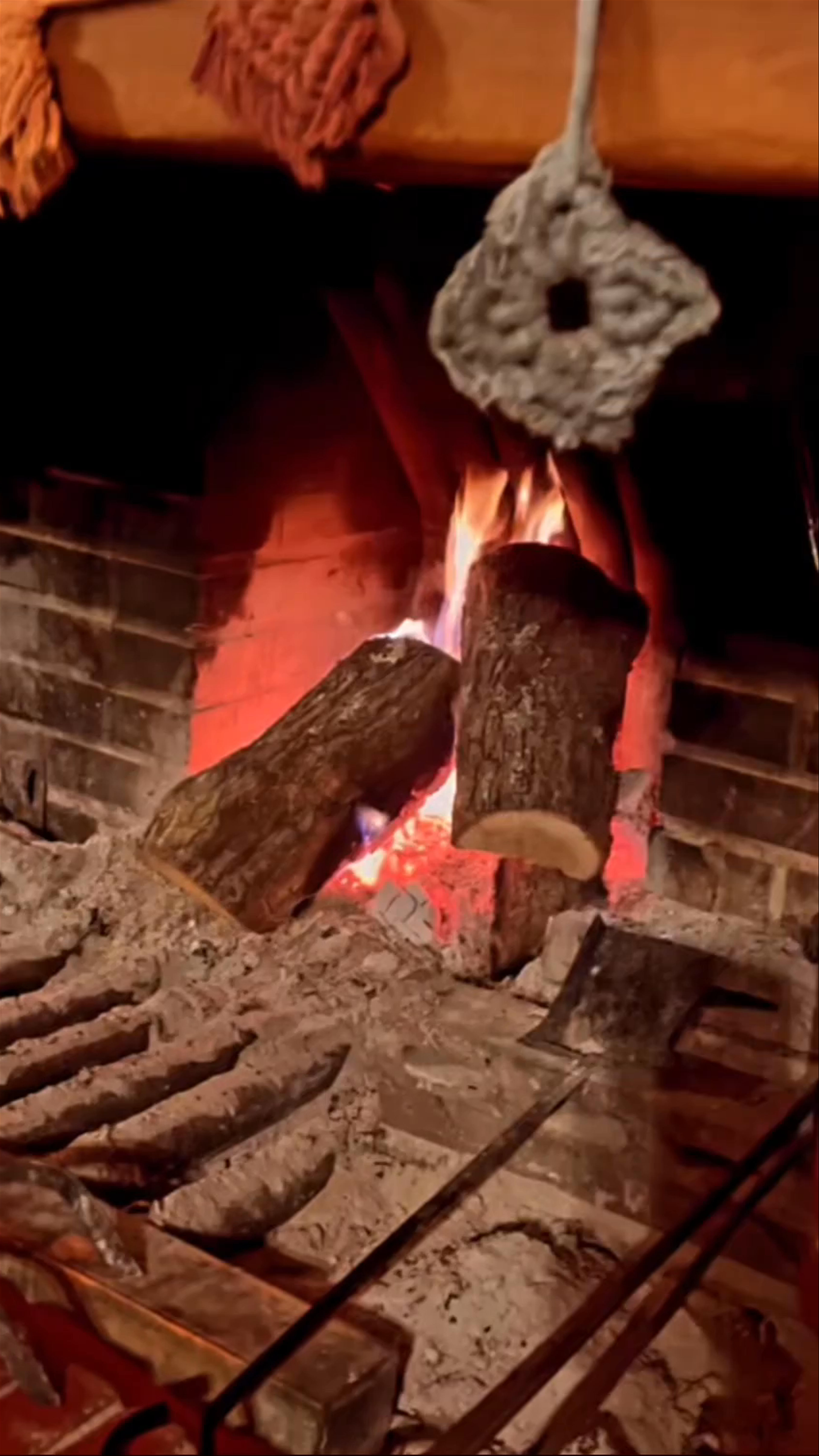 Καταφύγιο ΣΕΟ Χορτιάτη