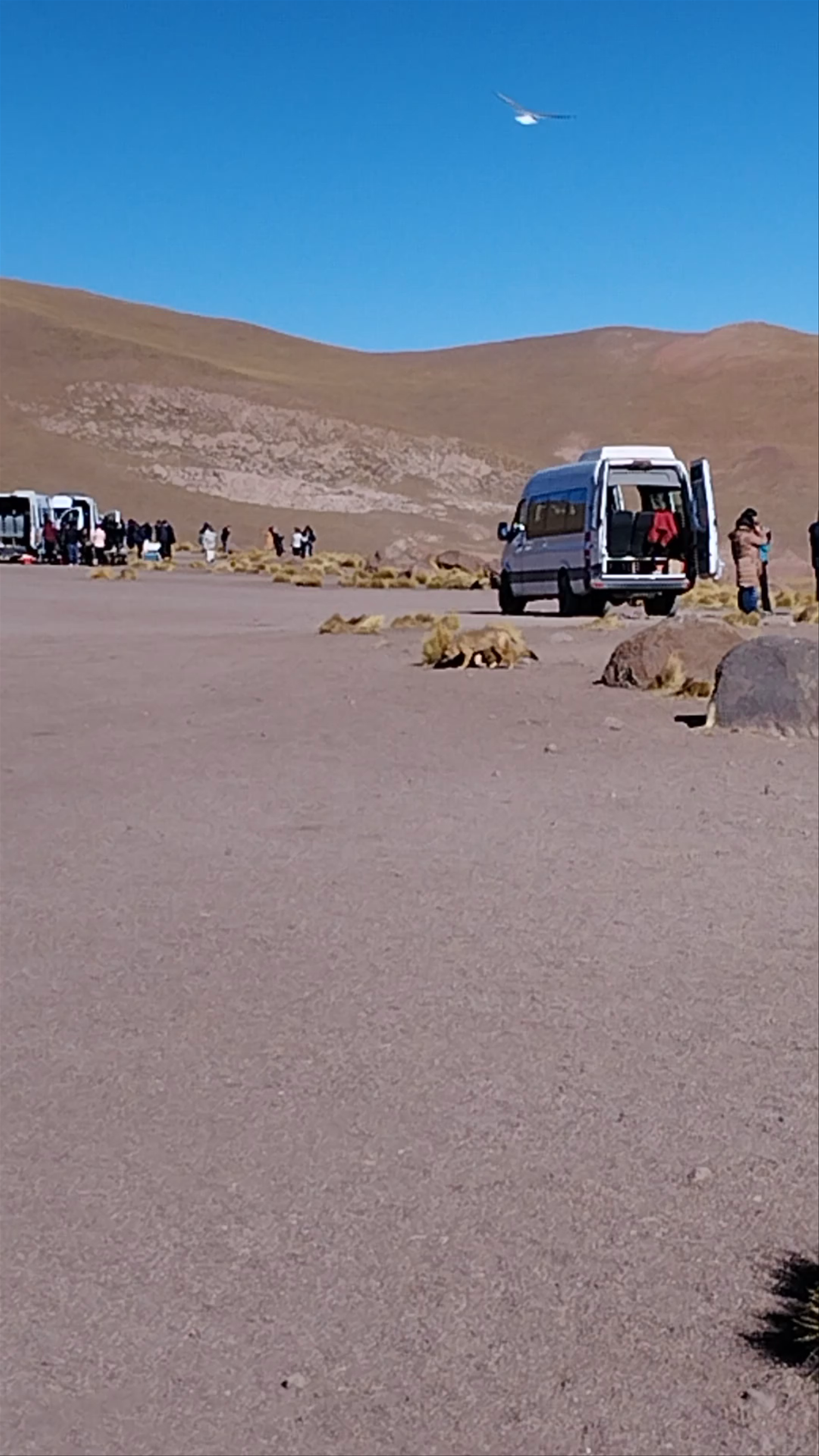 Piscina Termal del Tatio
