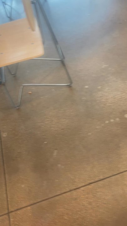Chipotle Mexican Grill - Gross - Fast Food Near Me - San Angelo, Texas