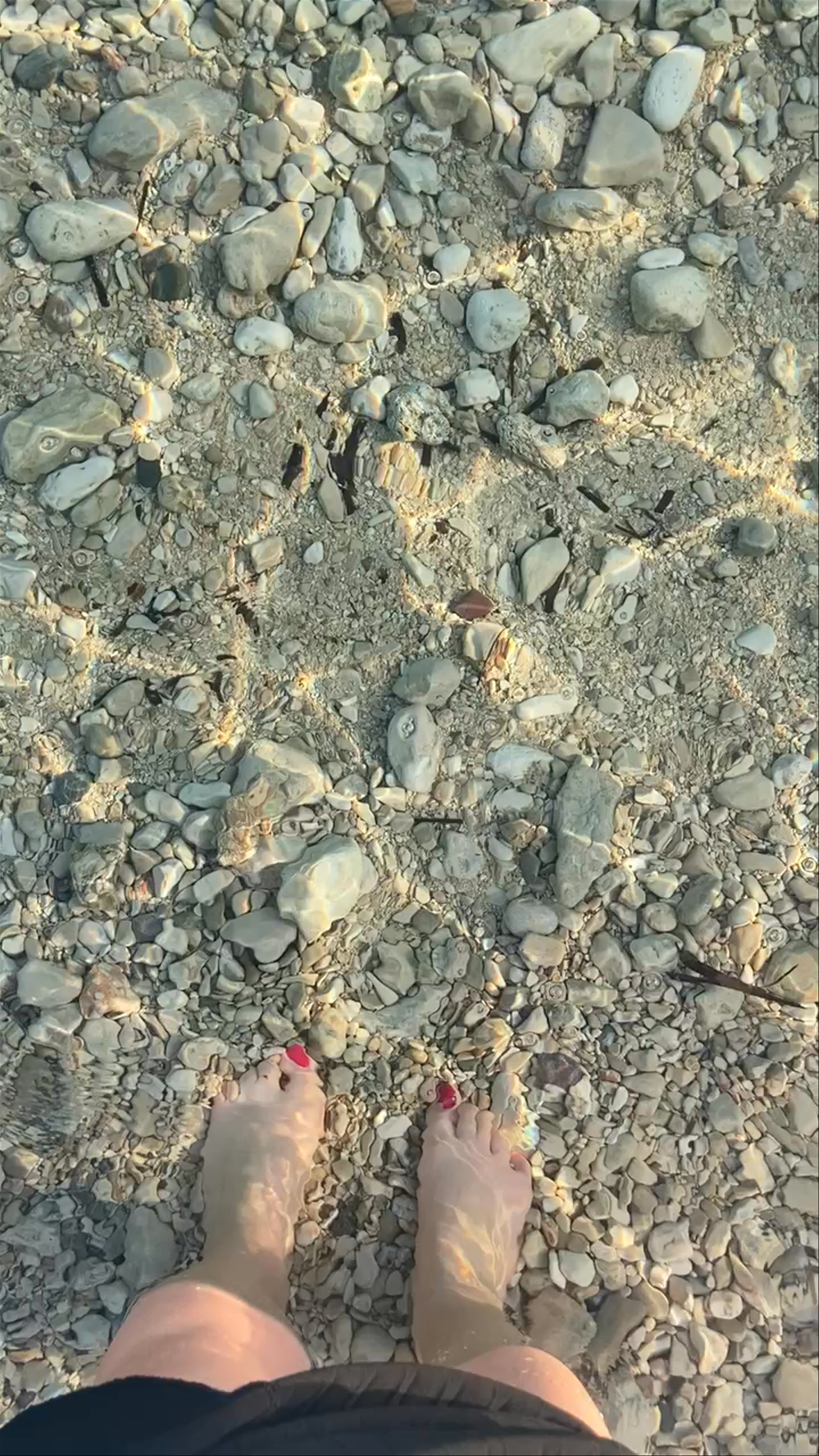 Zlatni rat