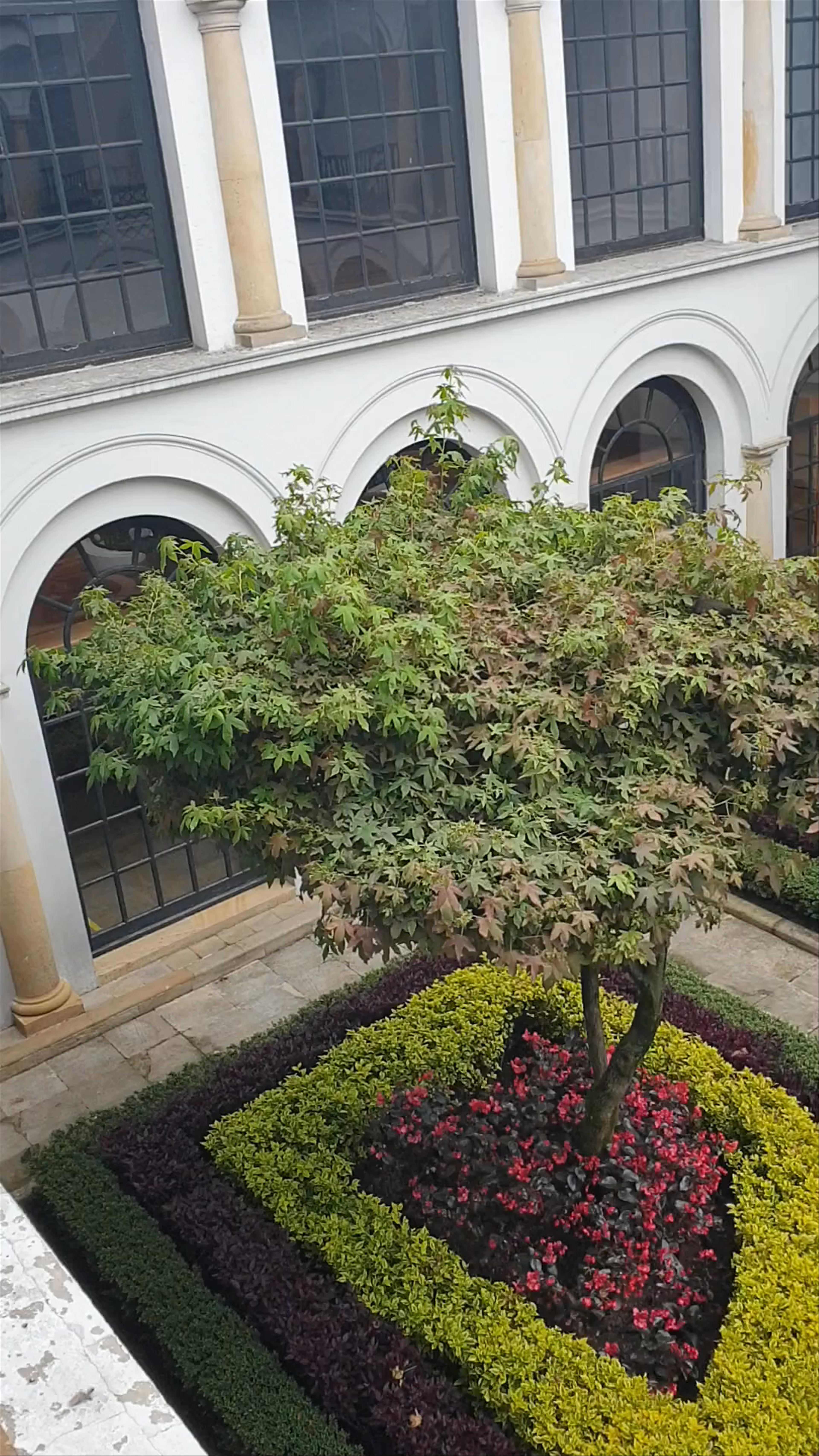 Enchanting Courtyard Garden at Museo Botero, Bogotá