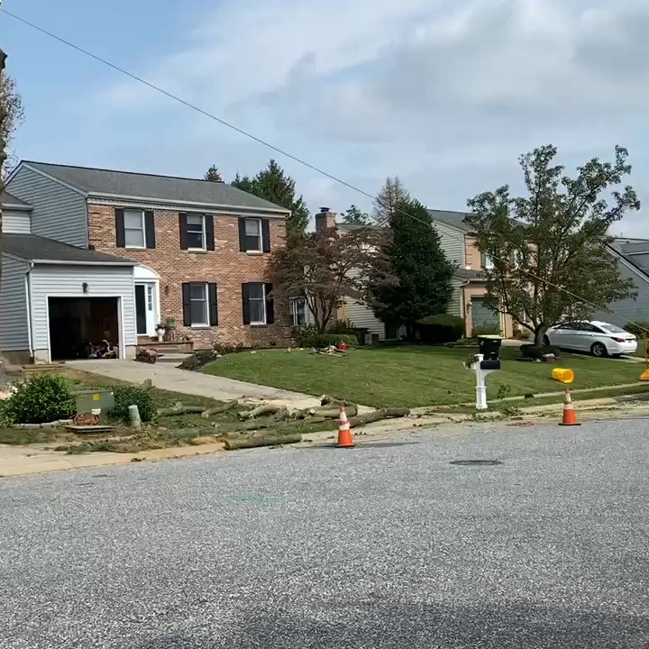 Lazo Landscaping - Timber! - Landscaping Near Me - Middle River, Maryland