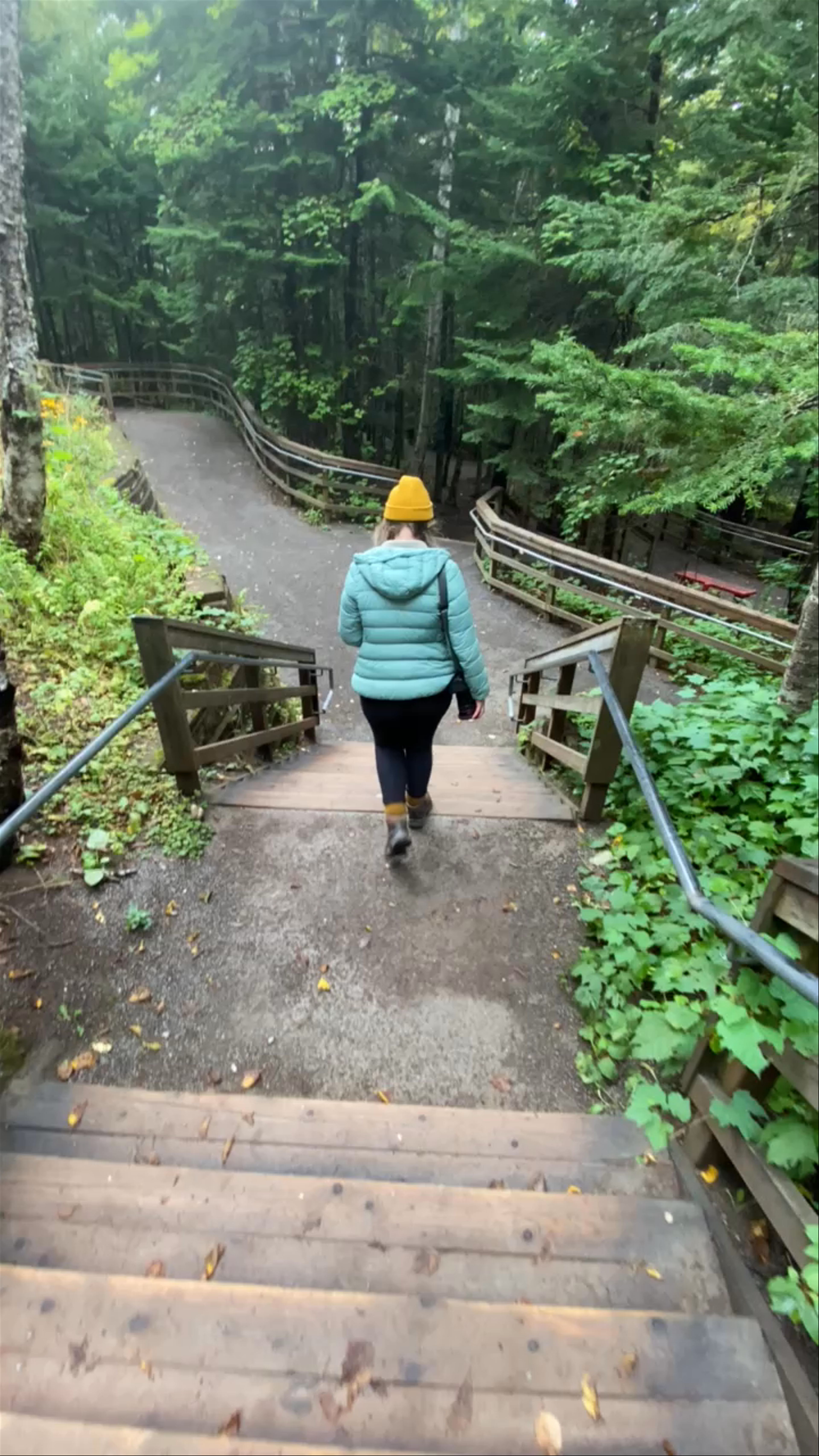 Hopewell Rocks Motel & Country Inn