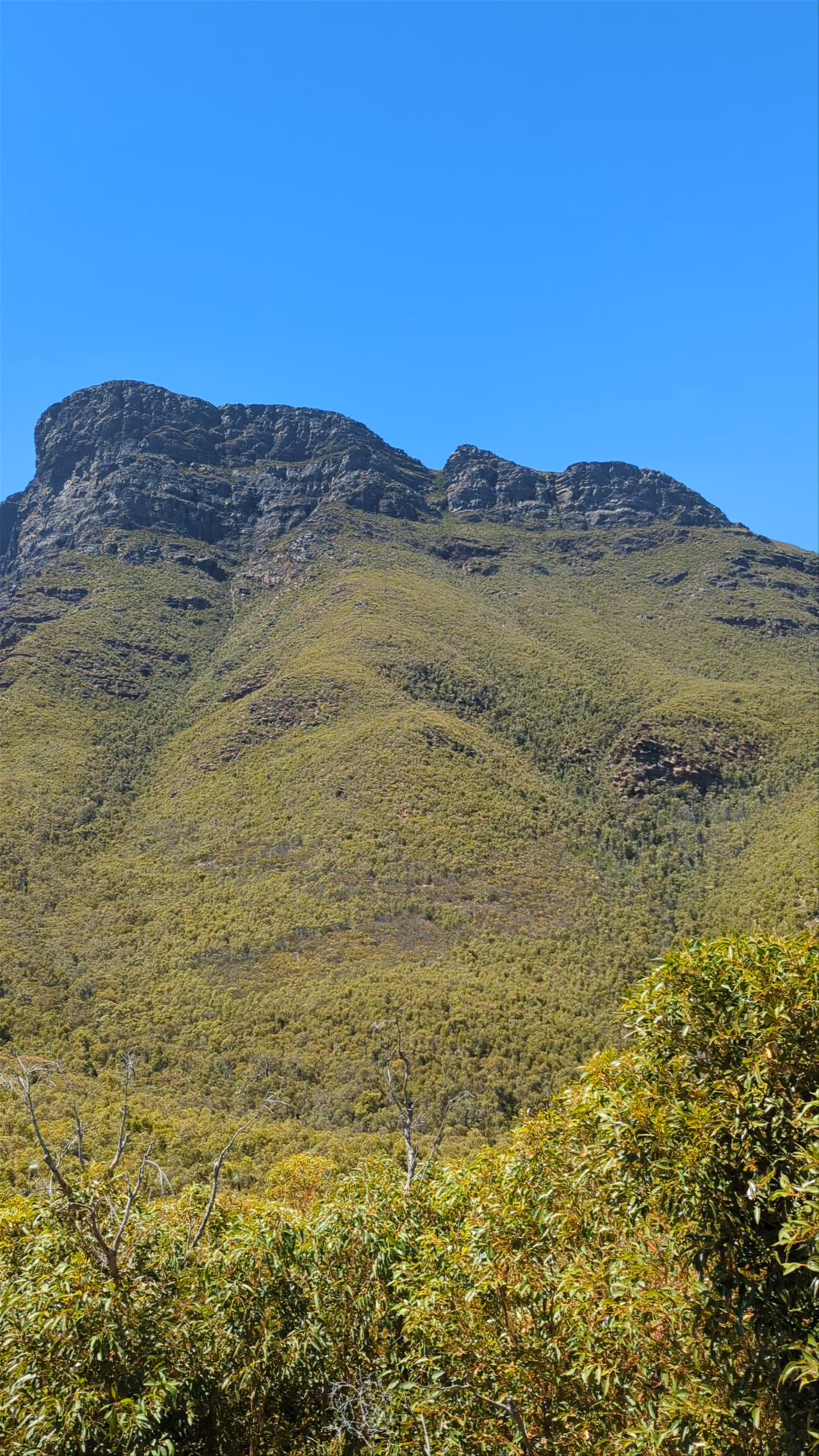 Bluff Knoll