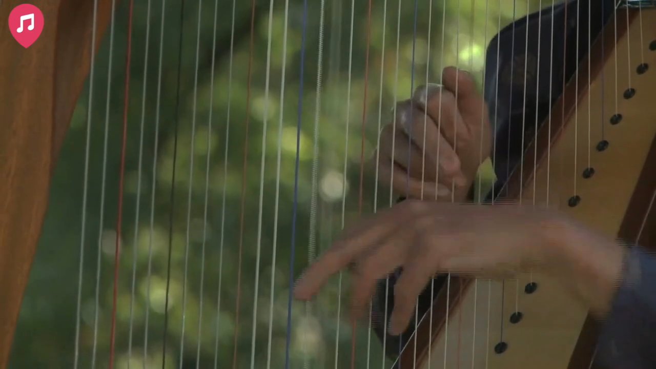 The Siena Harpist & Singer - Brian Boru's March - video