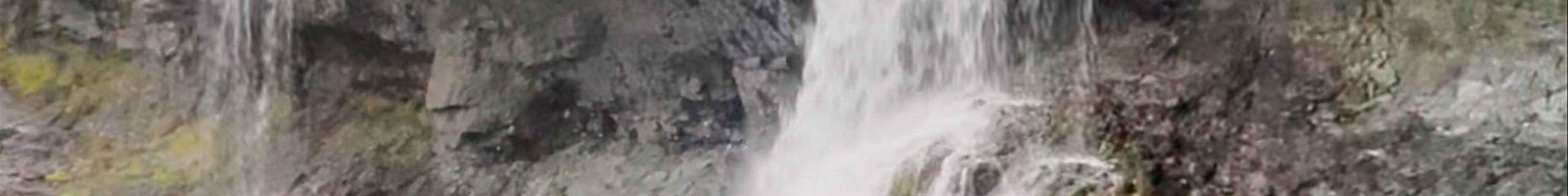Tours & experiences in Höfn