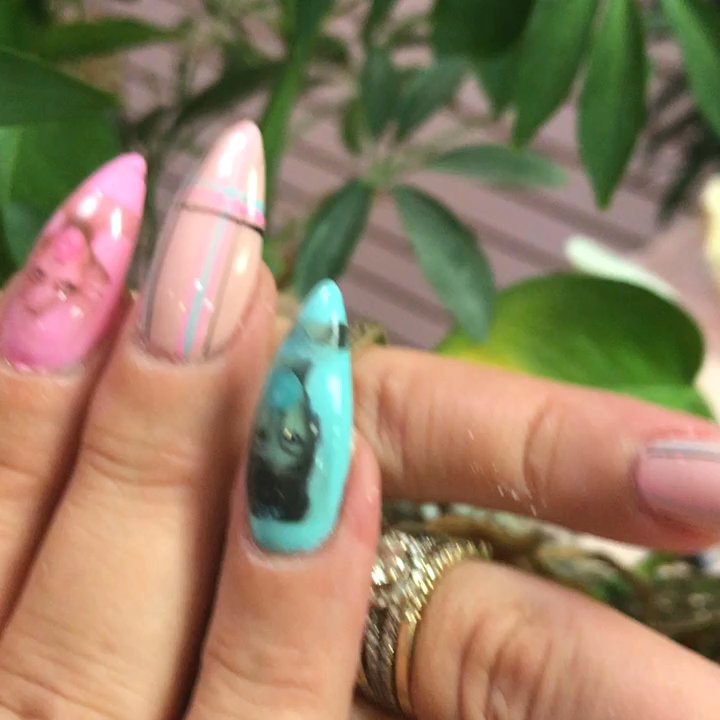 Video thumbnail 7 more videos