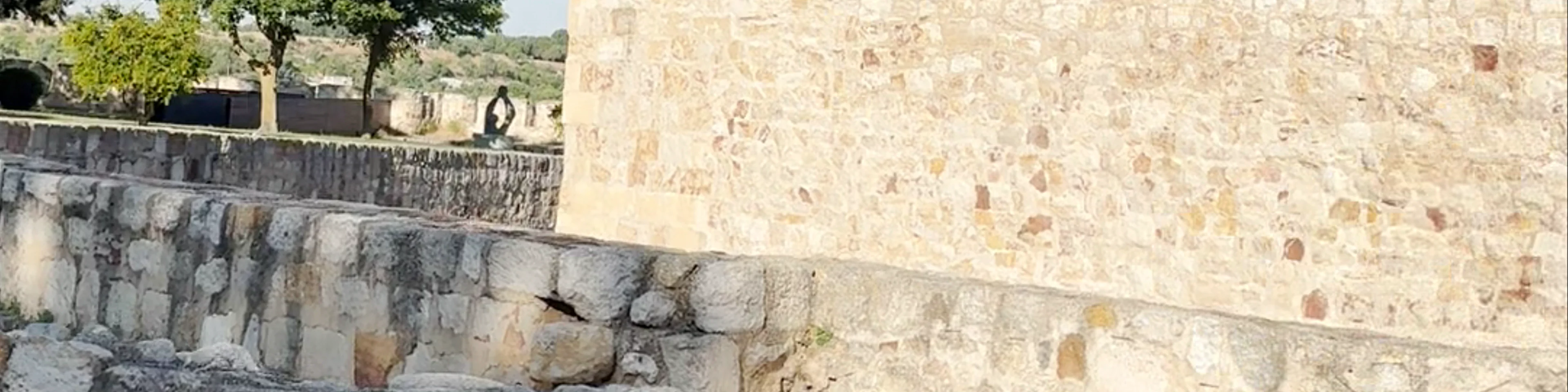 Casco antiguo Zamora