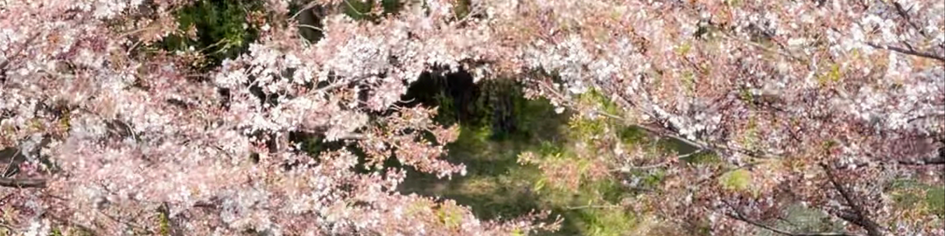 Kyoto