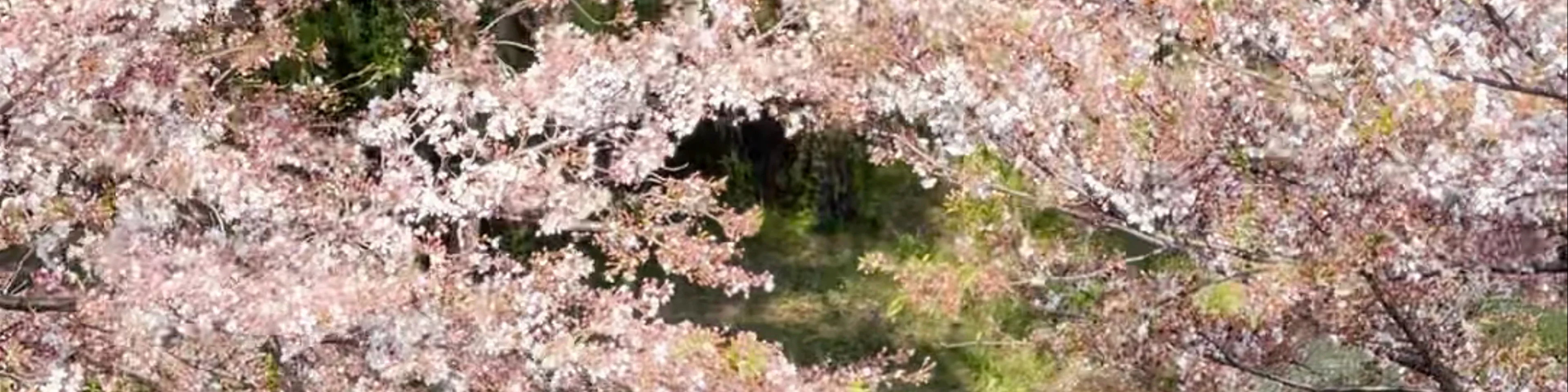 Fushimi Minato Park