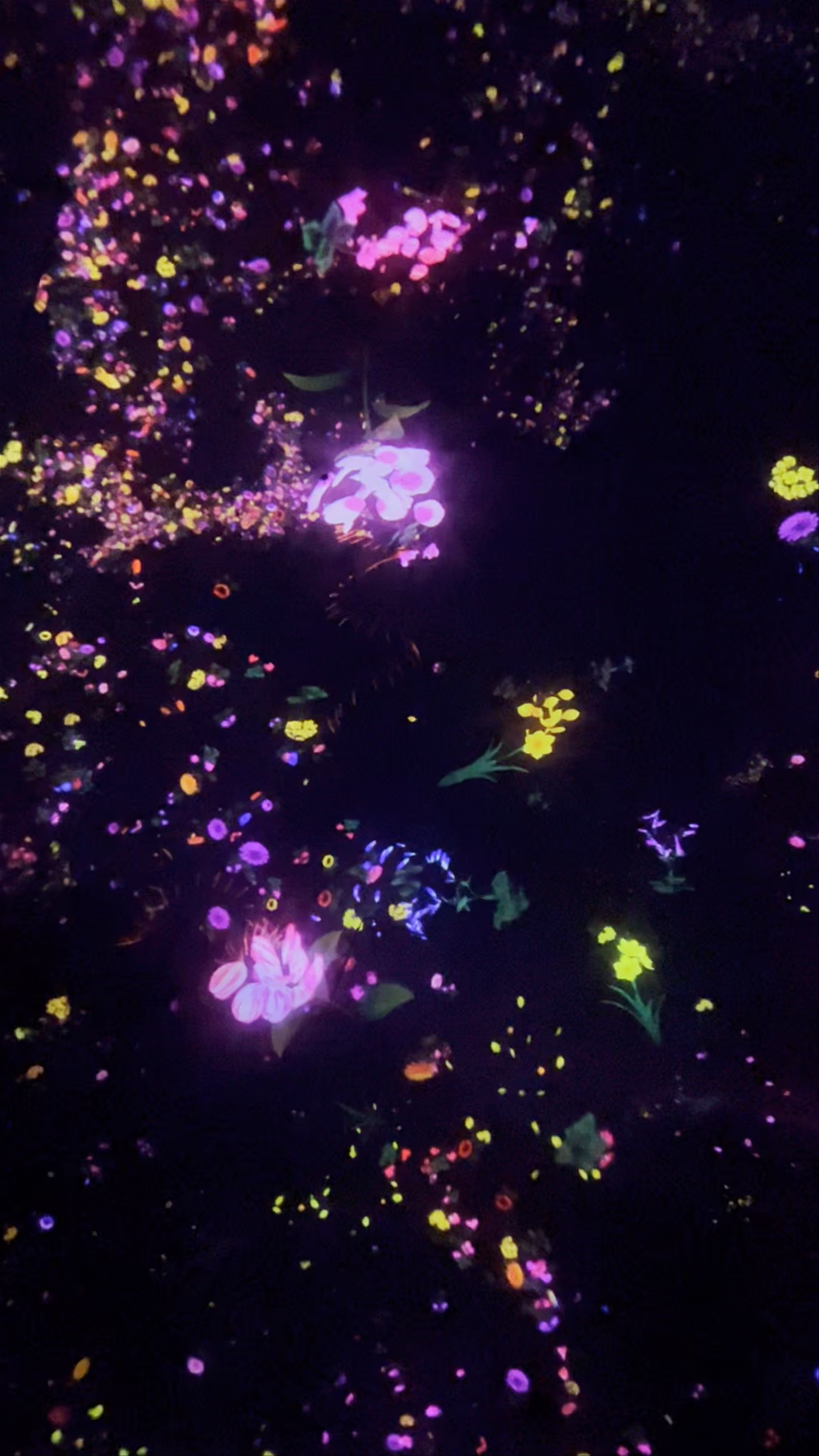 teamLab Planets: Immersive Digital Art Experience in Tokyo
